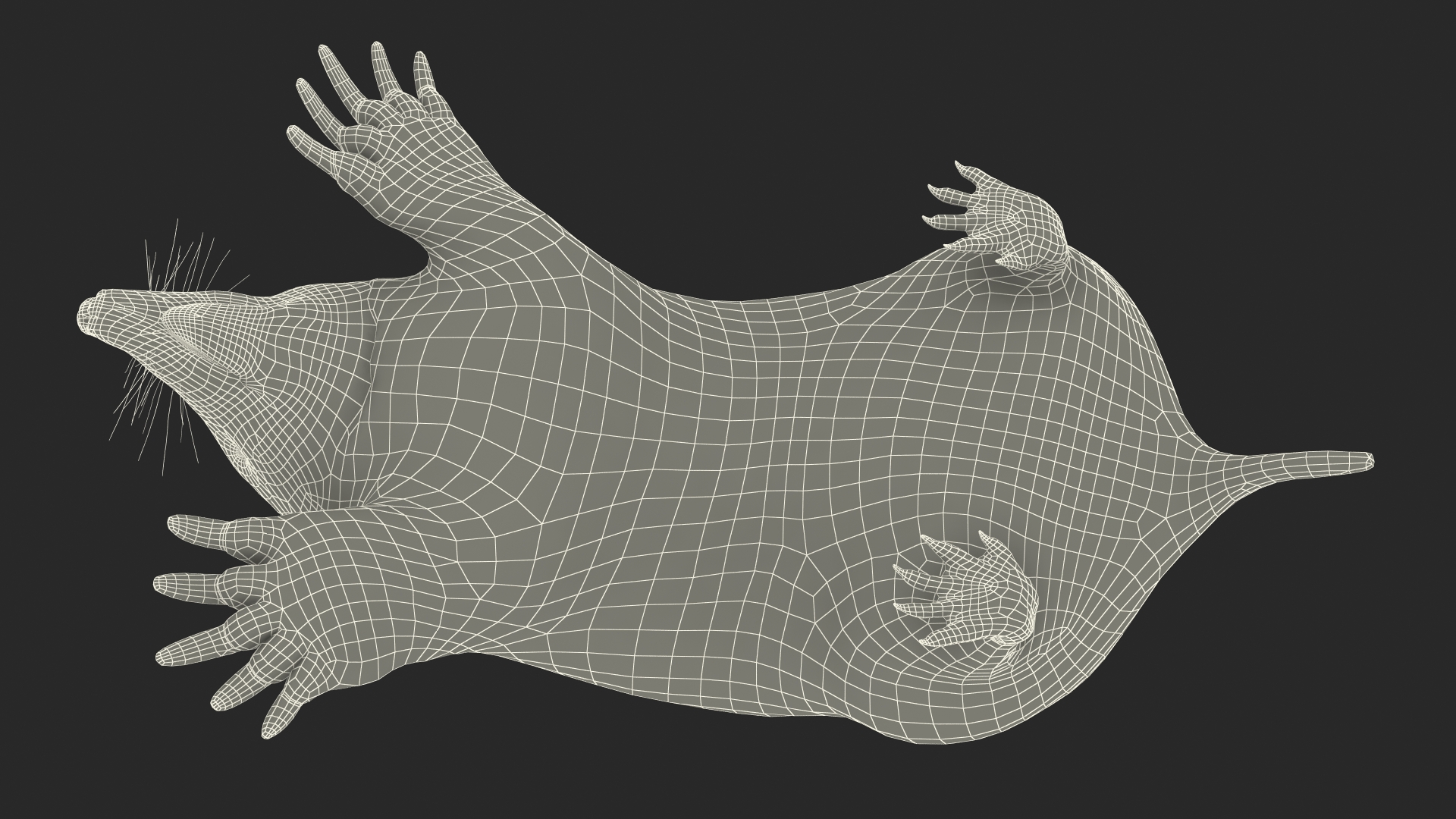 3D model Realistic Mole Animal Fur