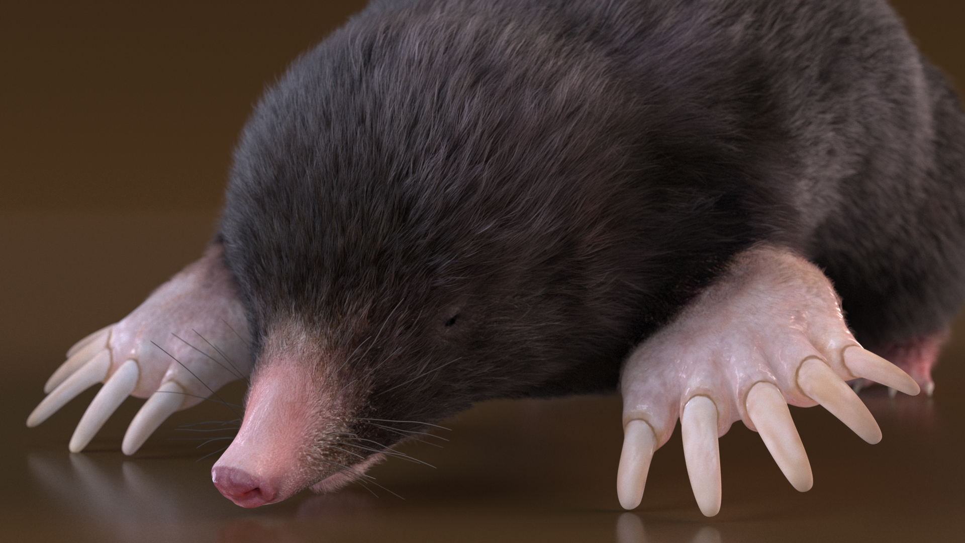 3D model Realistic Mole Animal Fur