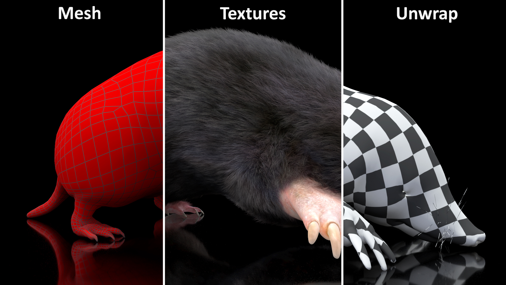 3D model Realistic Mole Animal Fur