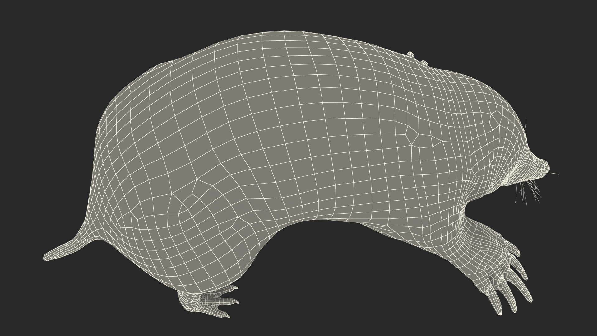 3D model Realistic Mole Animal Fur