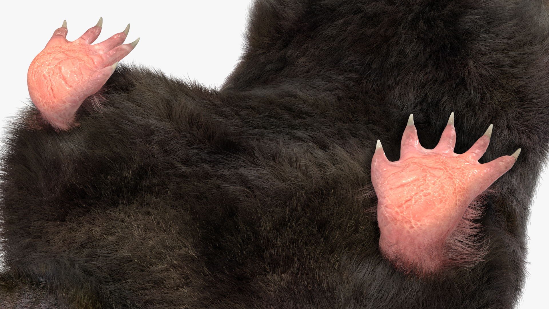 3D model Realistic Mole Animal Fur