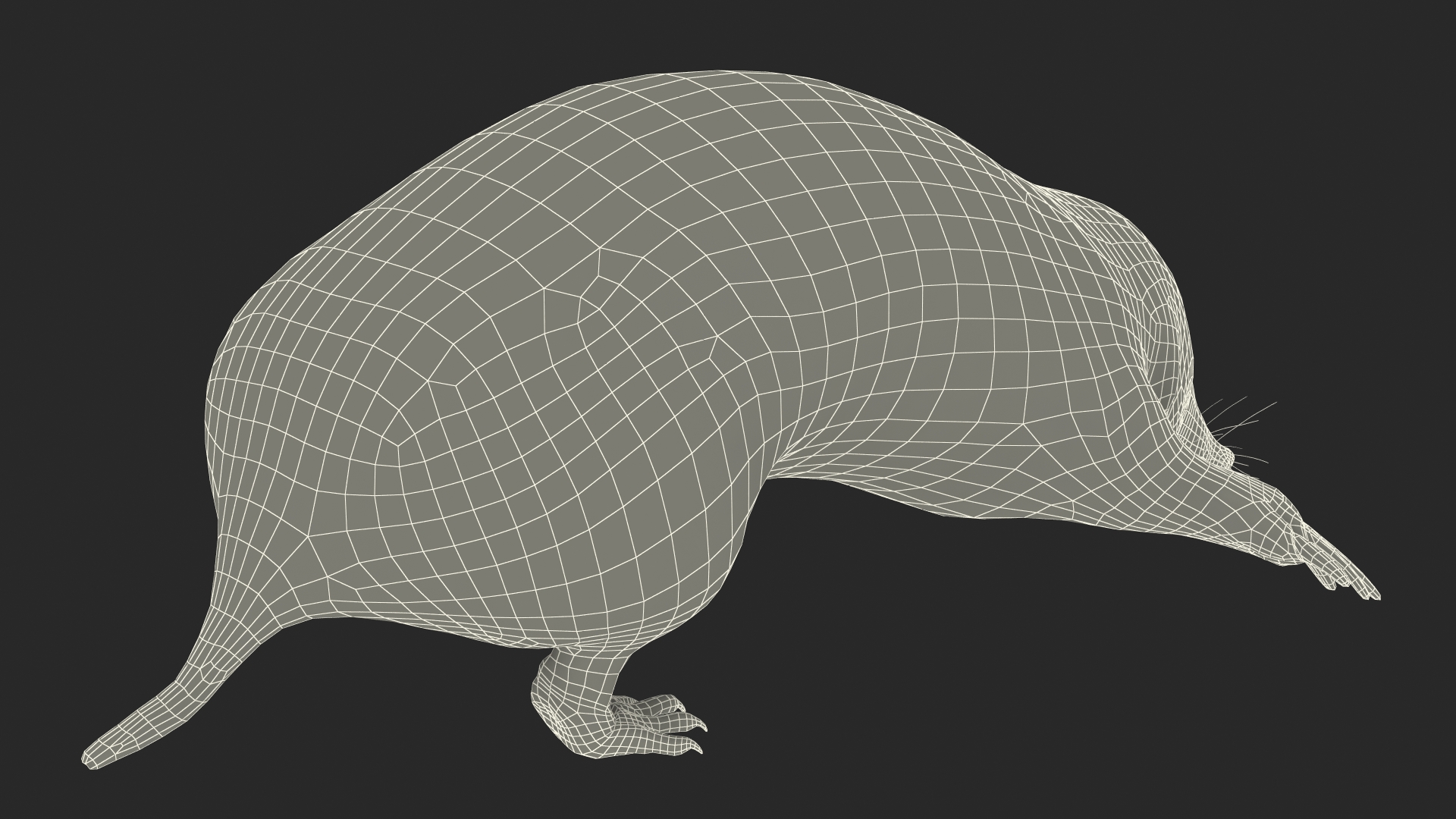 3D model Realistic Mole Animal Fur