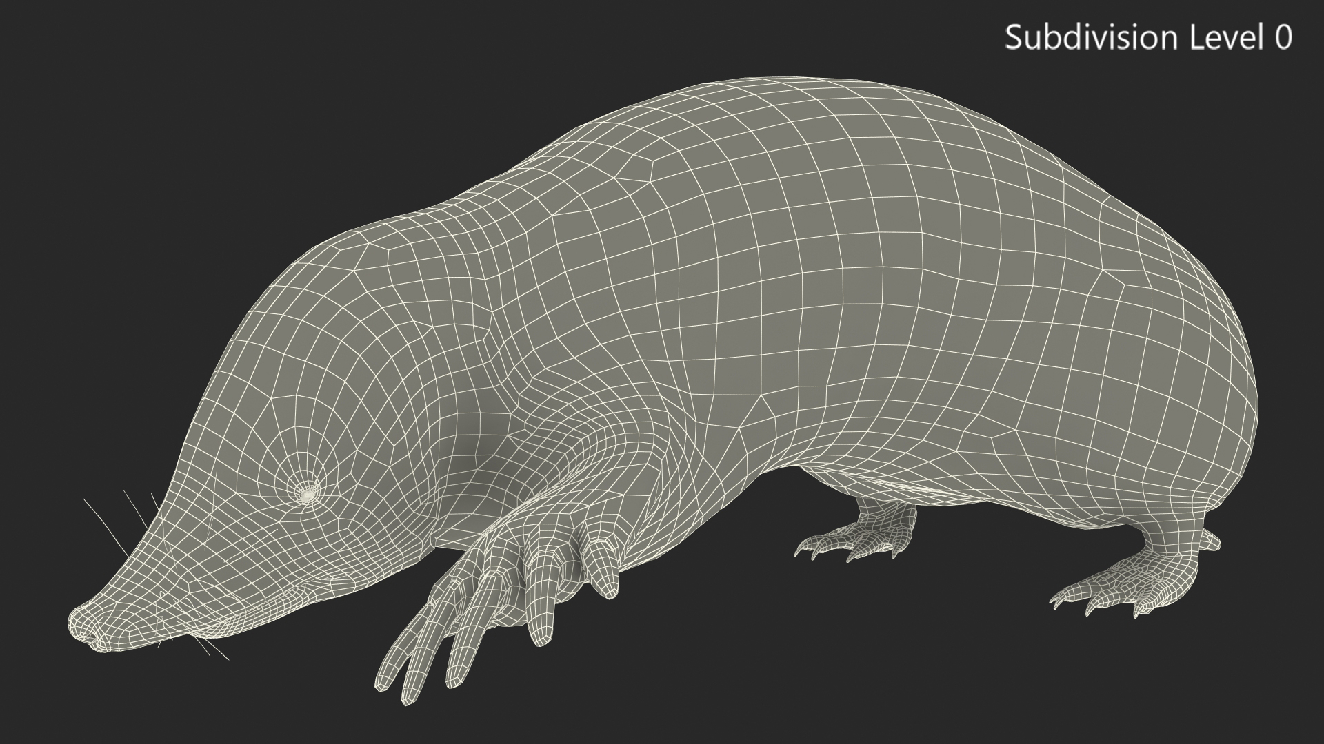 3D model Realistic Mole Animal Fur