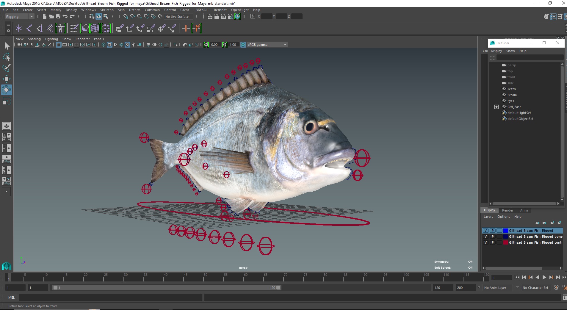 3D model Gilthead Bream Fish Rigged for Maya