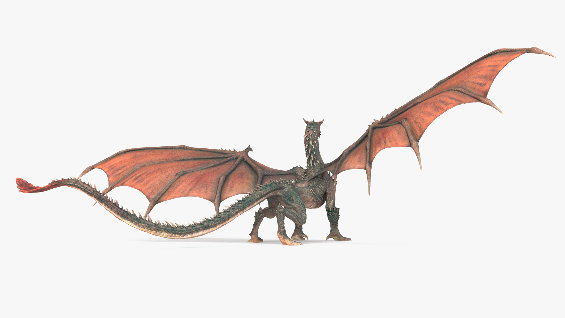 Walking Western Dragon 3D