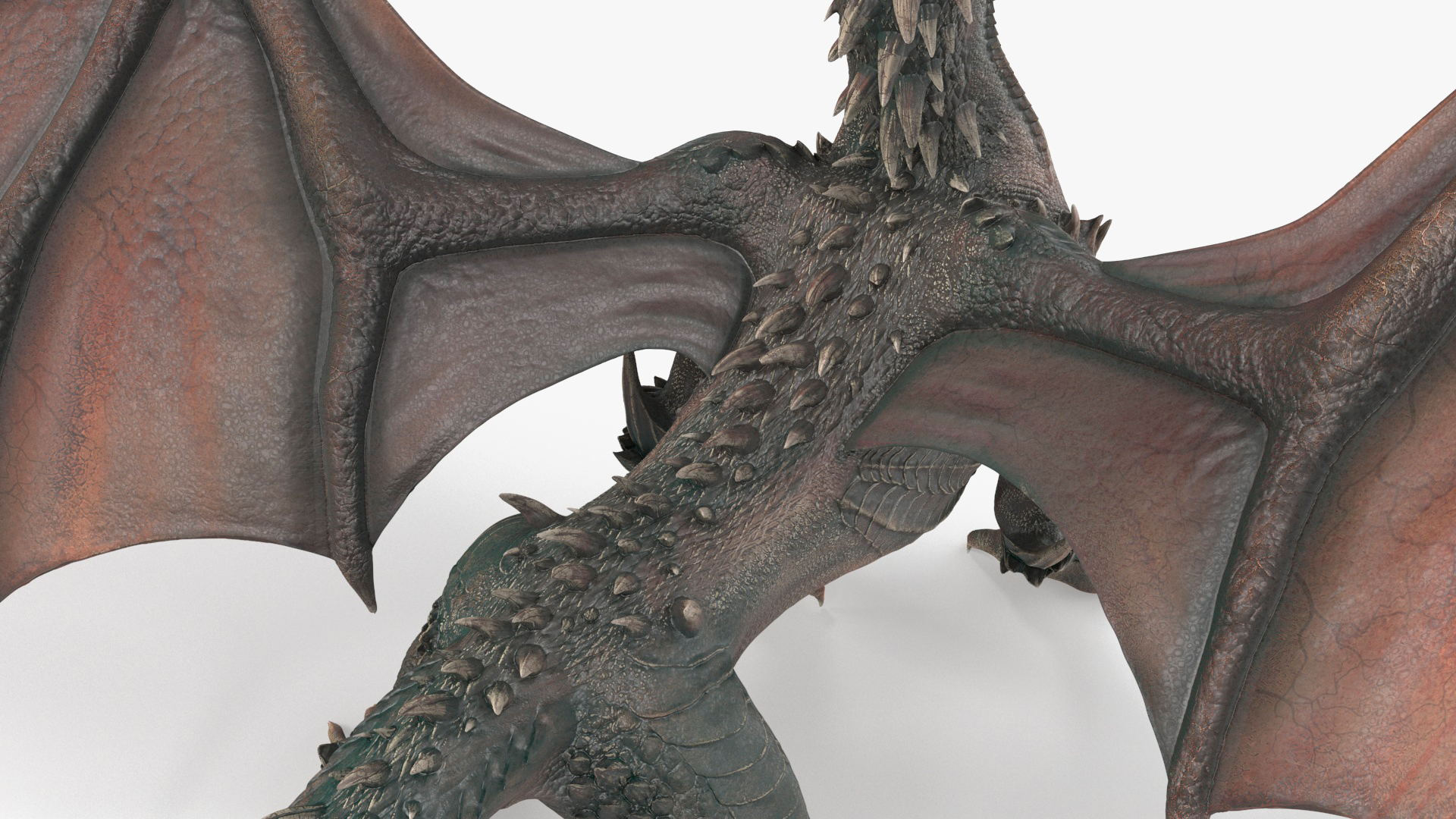 Walking Western Dragon 3D