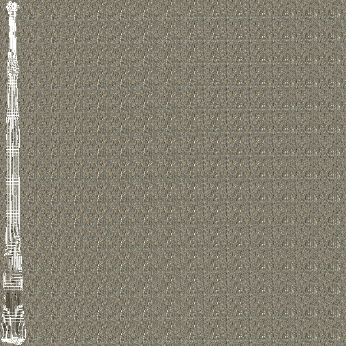 3D model Dry Tree Branch