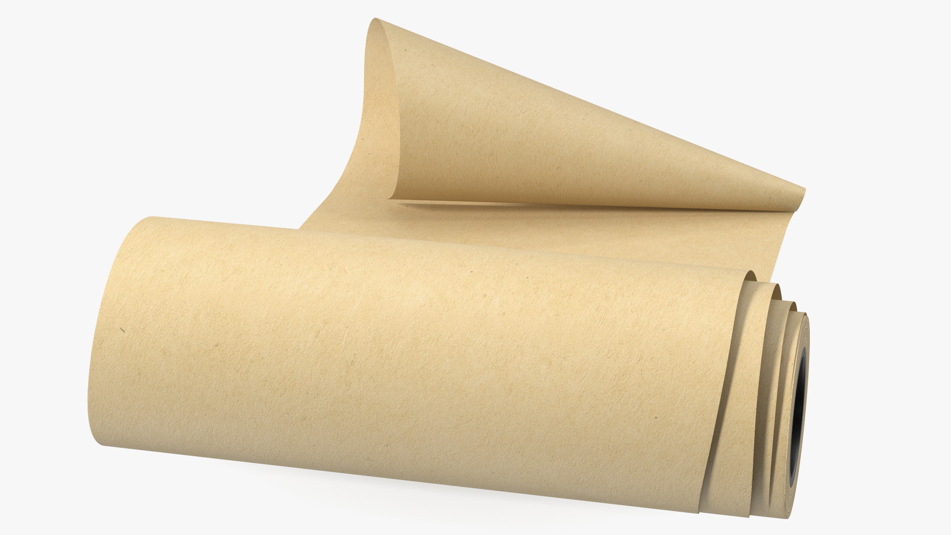 3D Roll of Kraft Paper Unfolded model