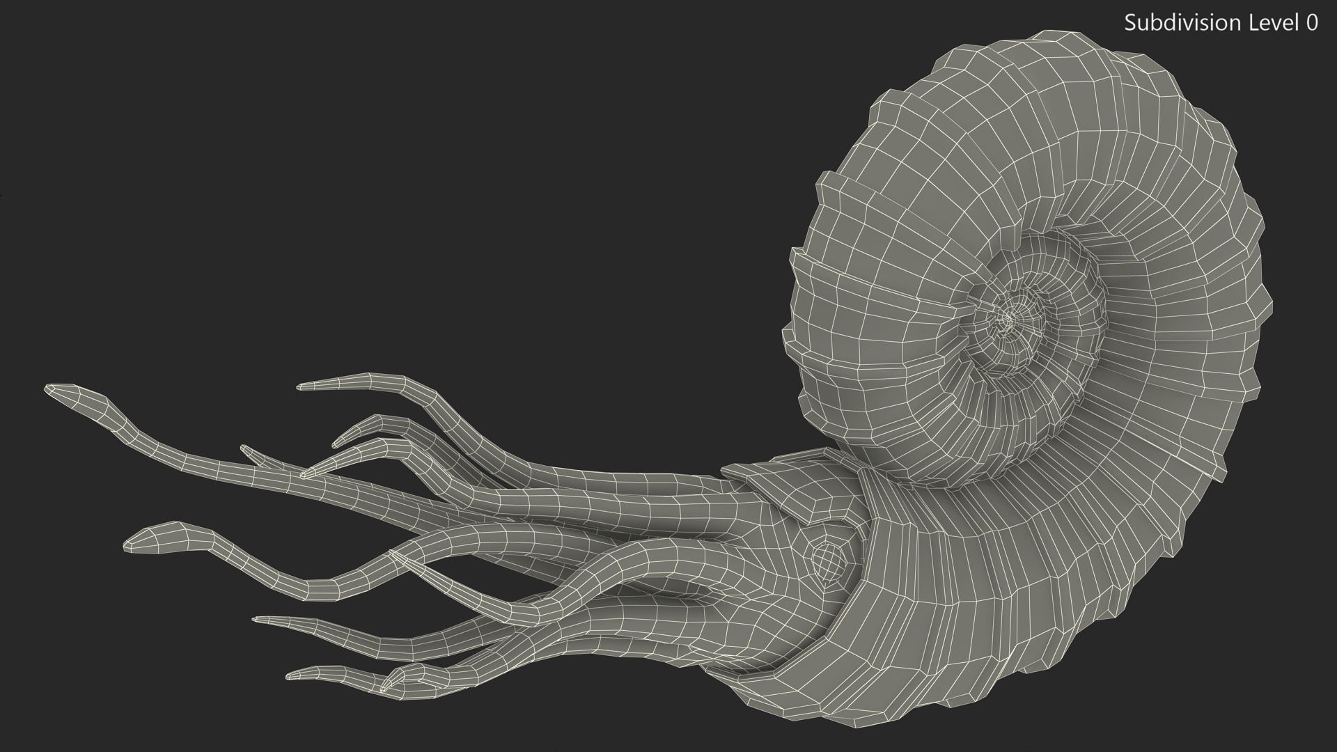 3D Ammonite for 3D Print