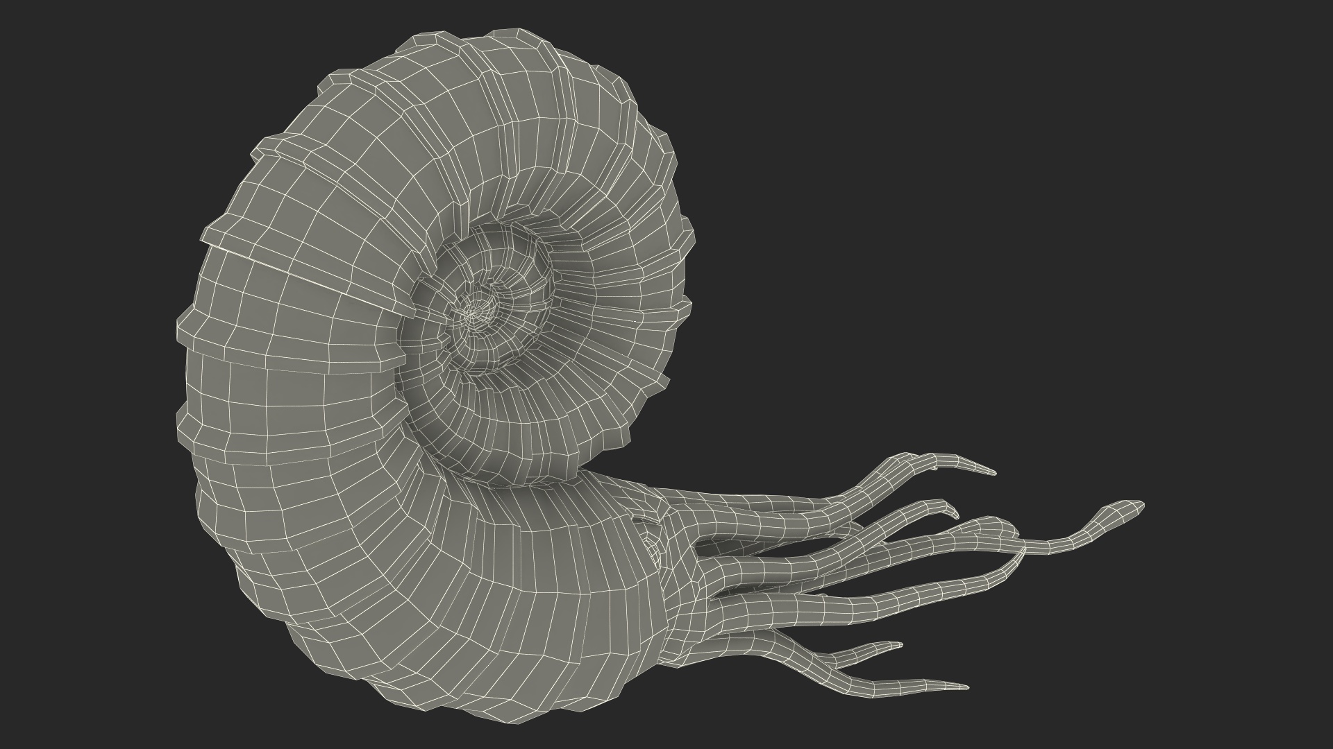 3D Ammonite for 3D Print