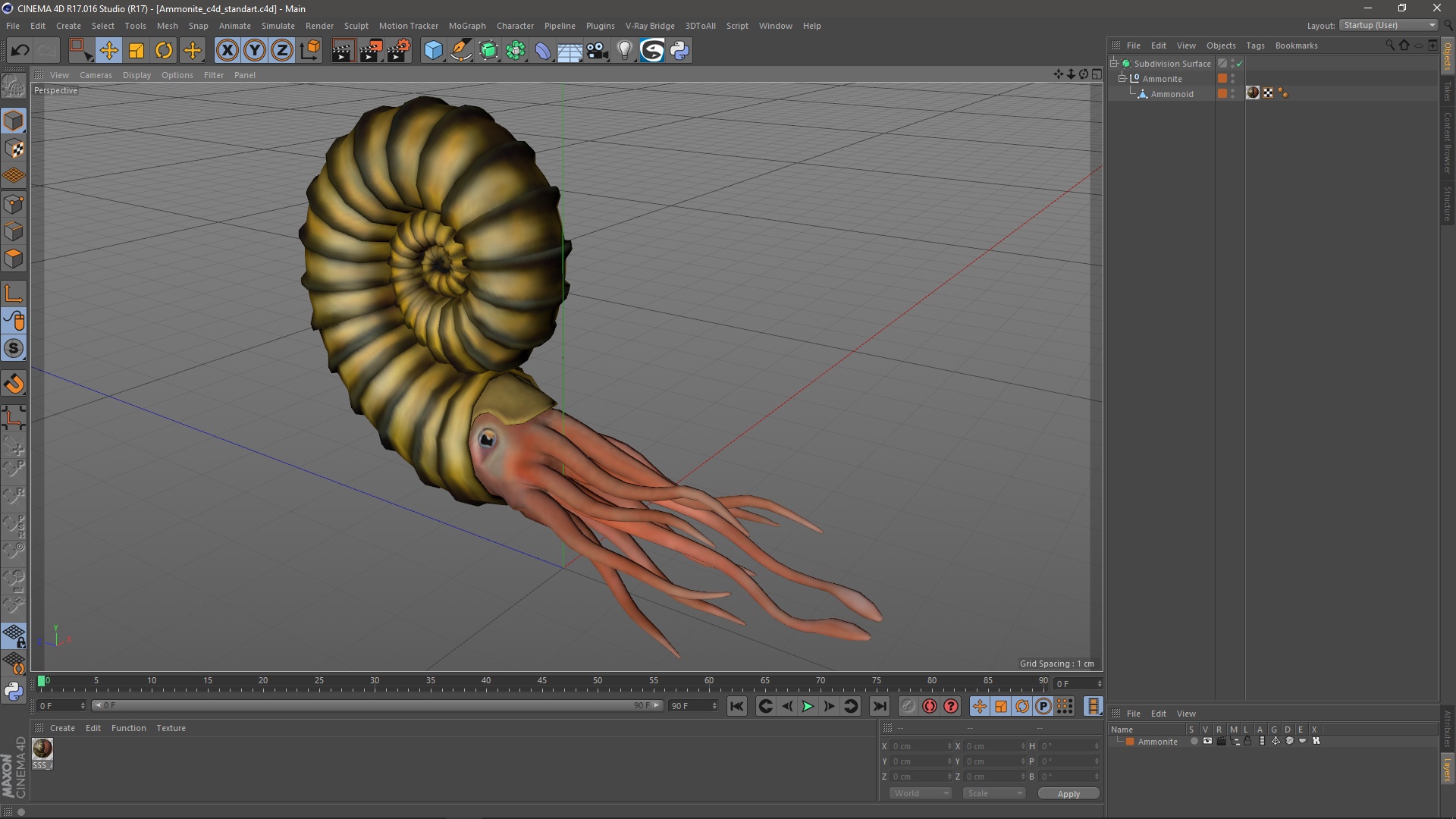 3D Ammonite for 3D Print