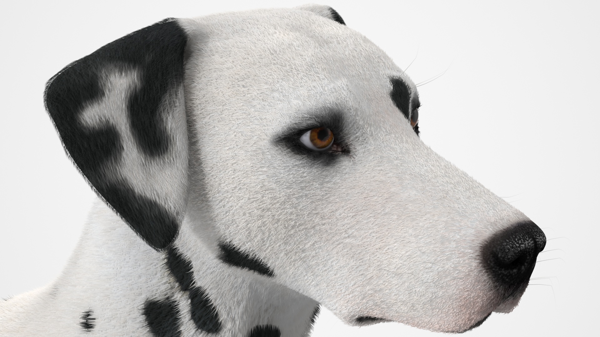 3D Dalmatian Dog Fur Animated Rigged model
