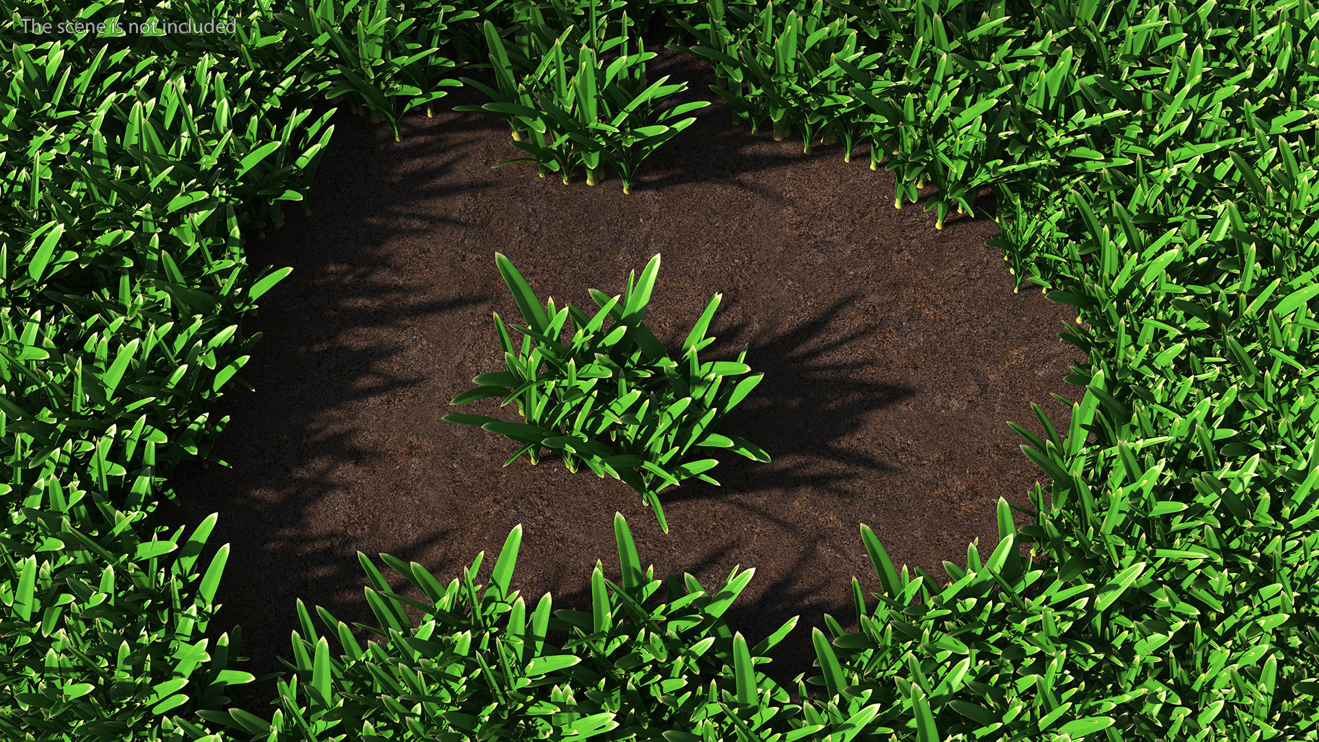 3D Realistic Grass Clump