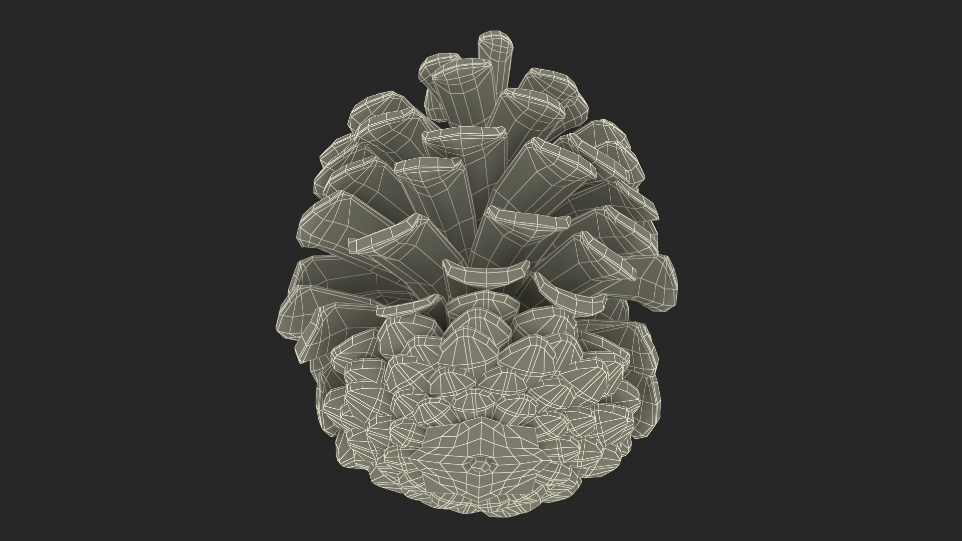3D Opened Pine Cone