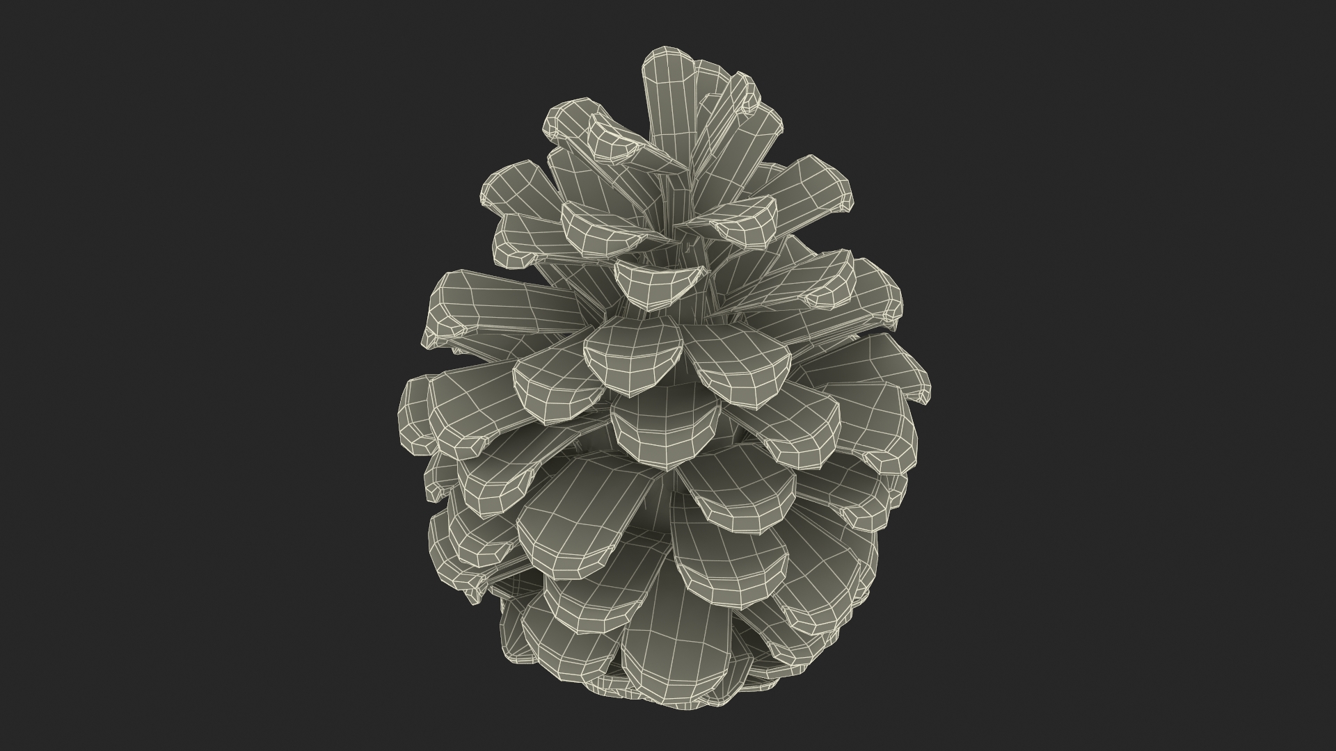 3D Opened Pine Cone