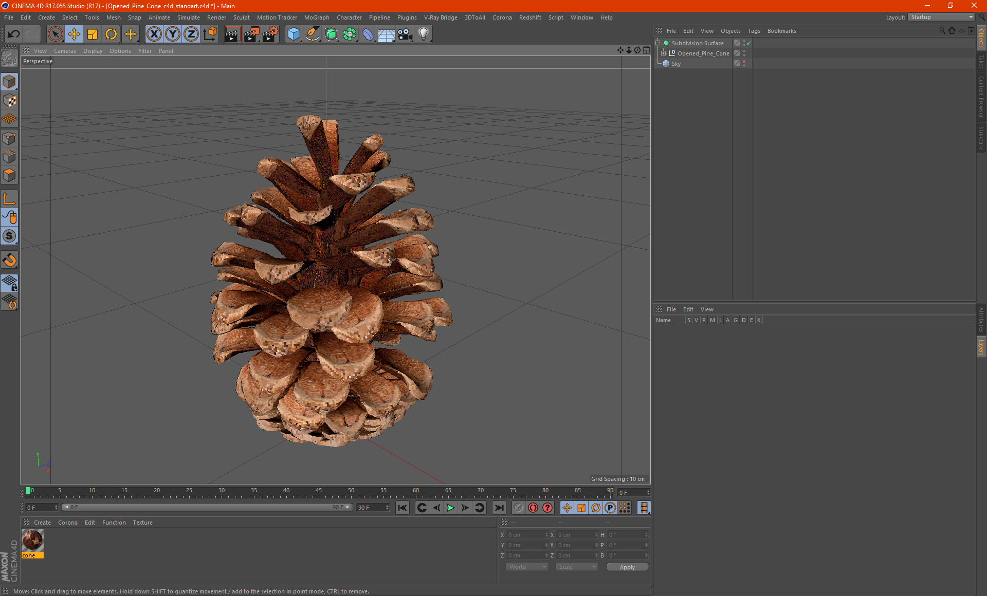 3D Opened Pine Cone