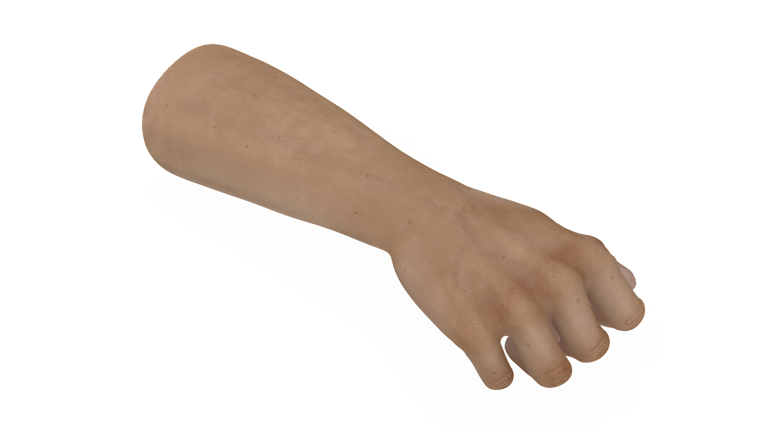 3D Caucasian Man Hand Fist model