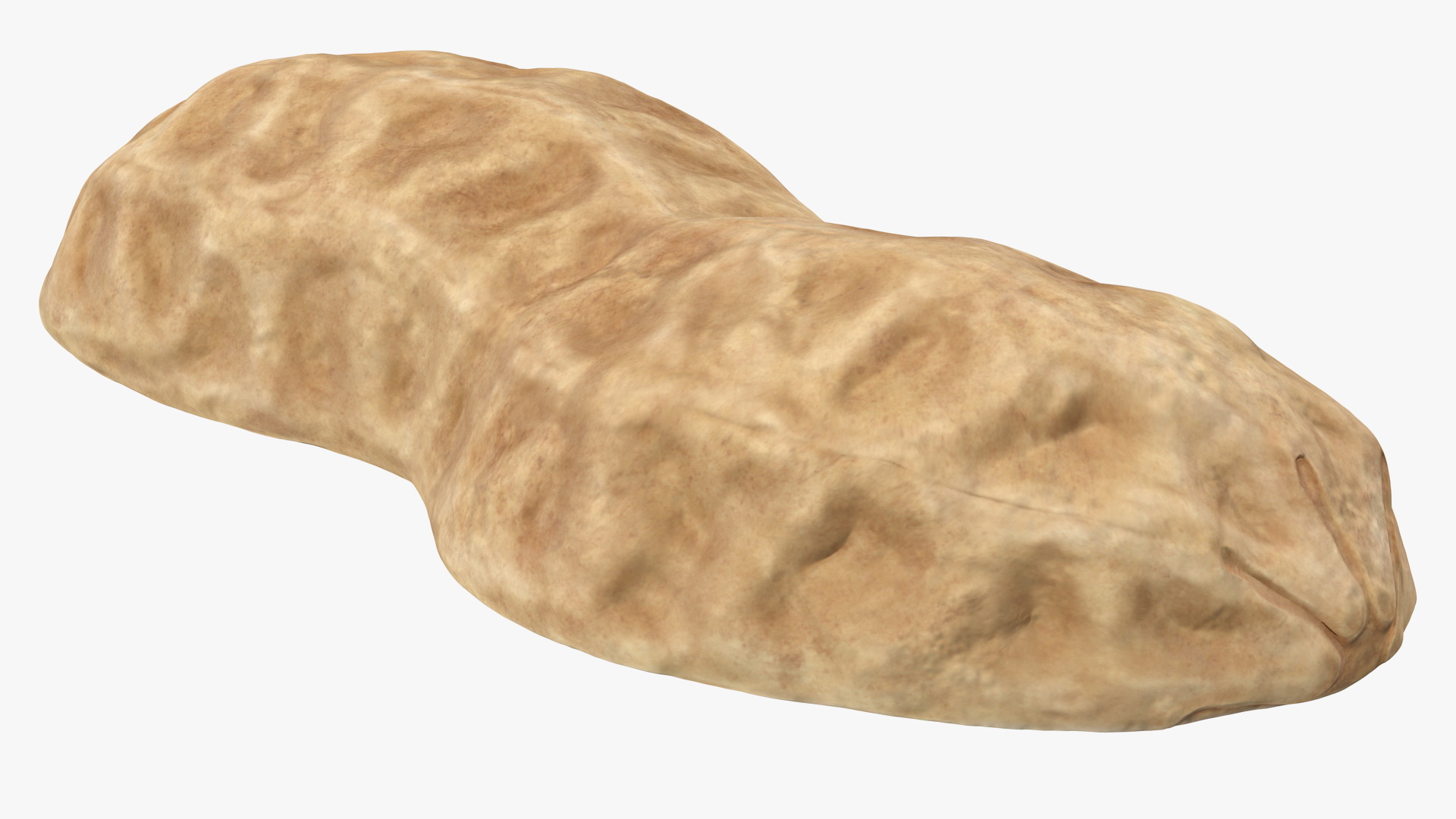 Empty Peanut Peel 3D