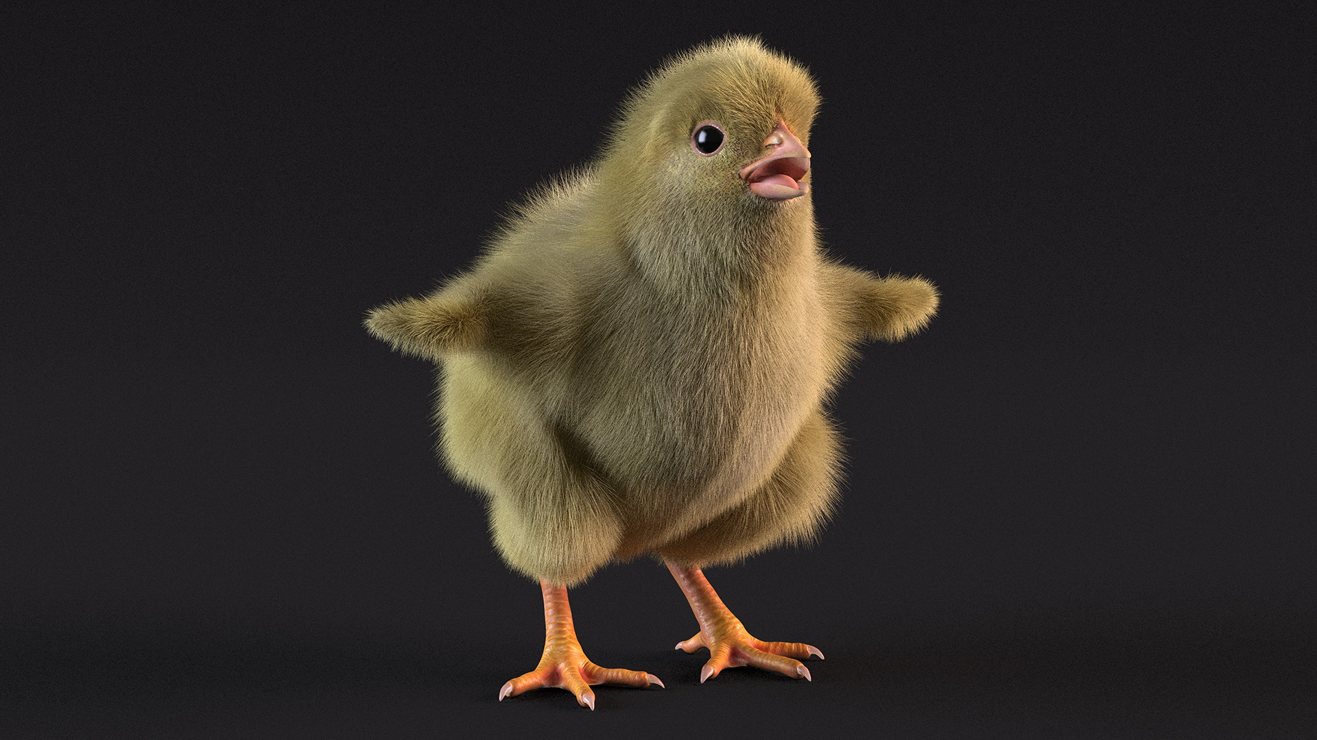 3D model Baby Chick