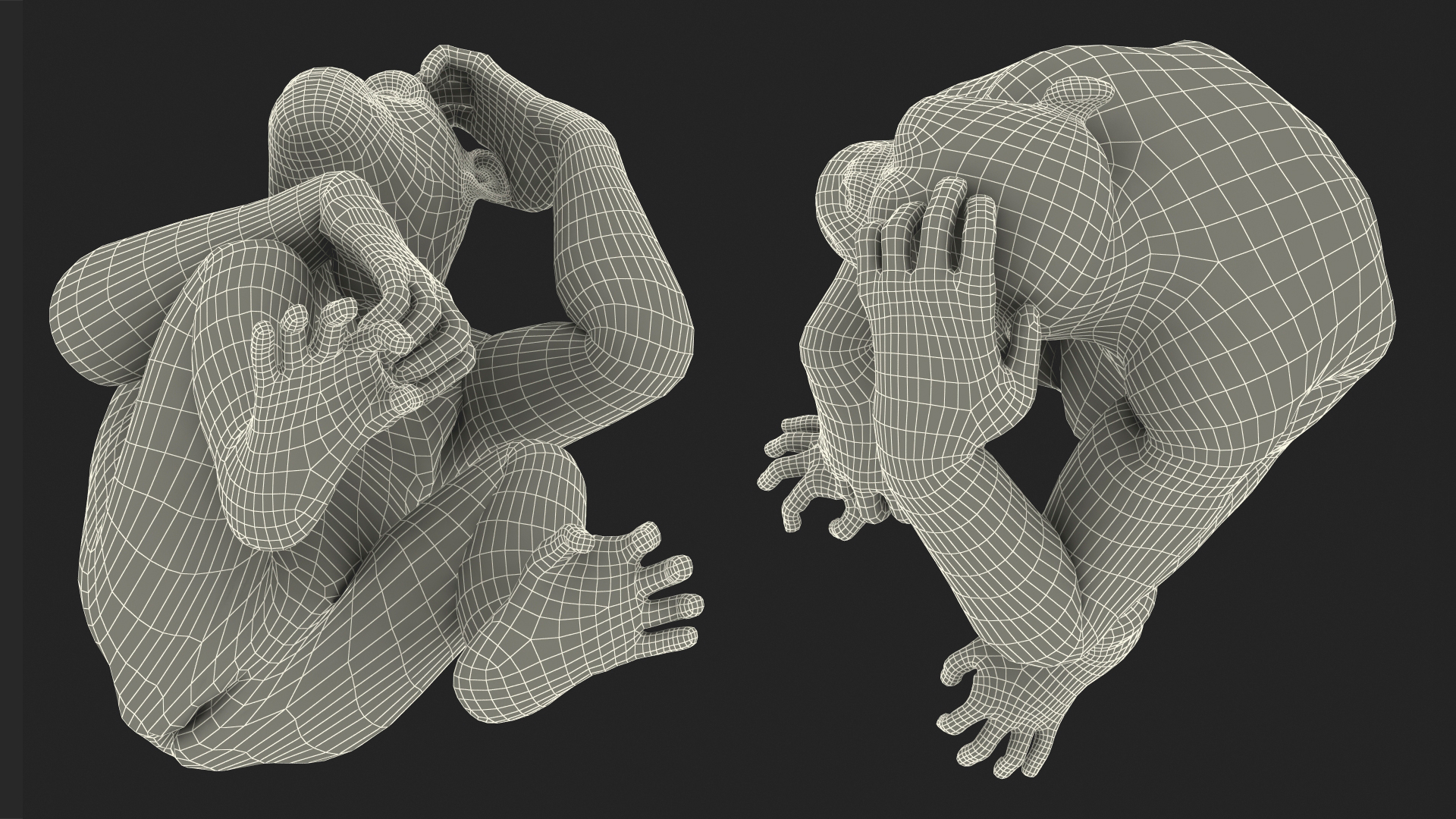 3D Animated Chimpanzee Walks Dark Skin Fur Rigged
