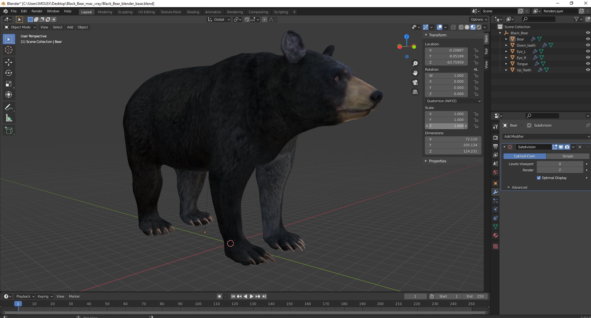 3D model Black Bear