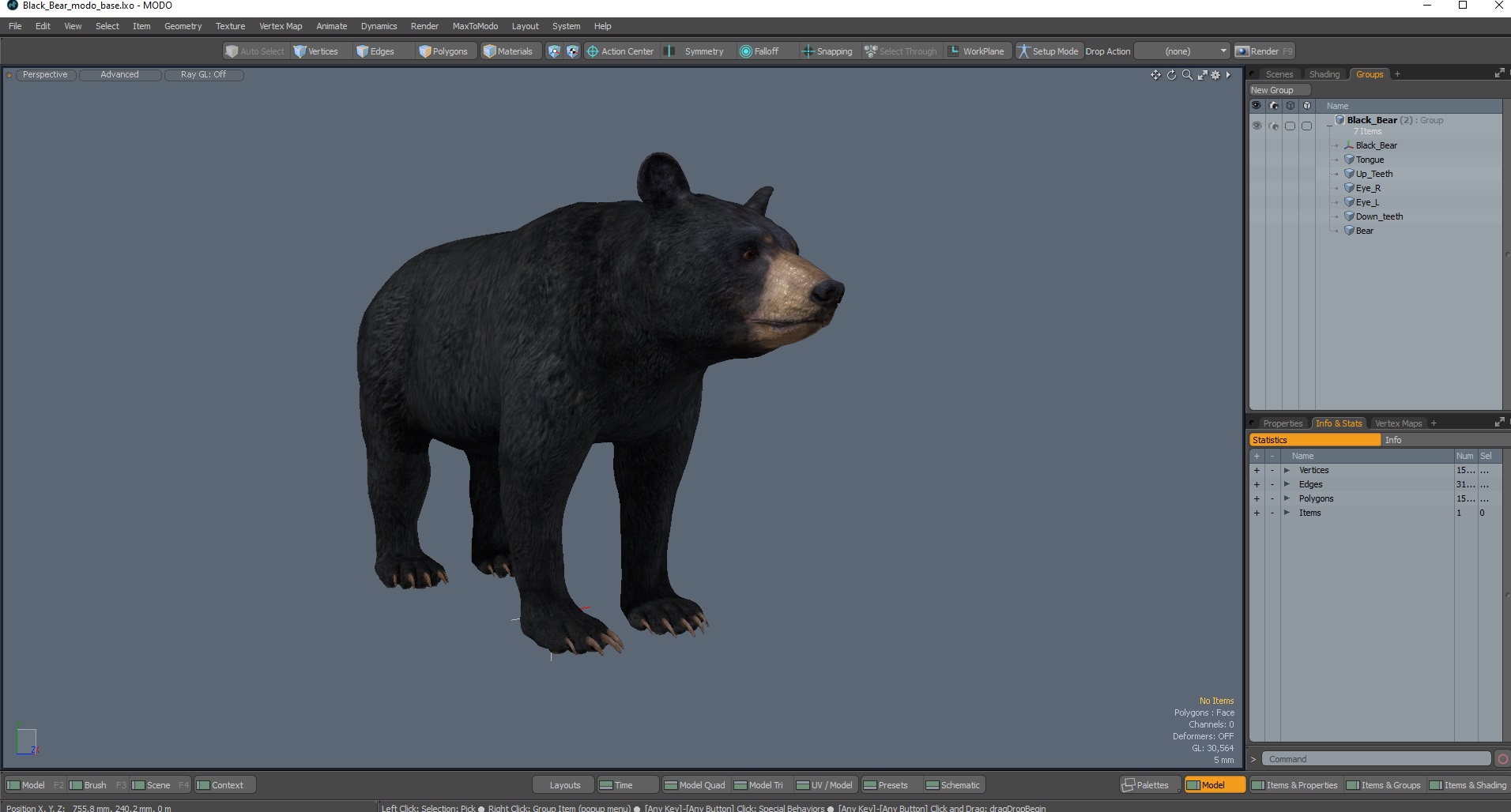 3D model Black Bear