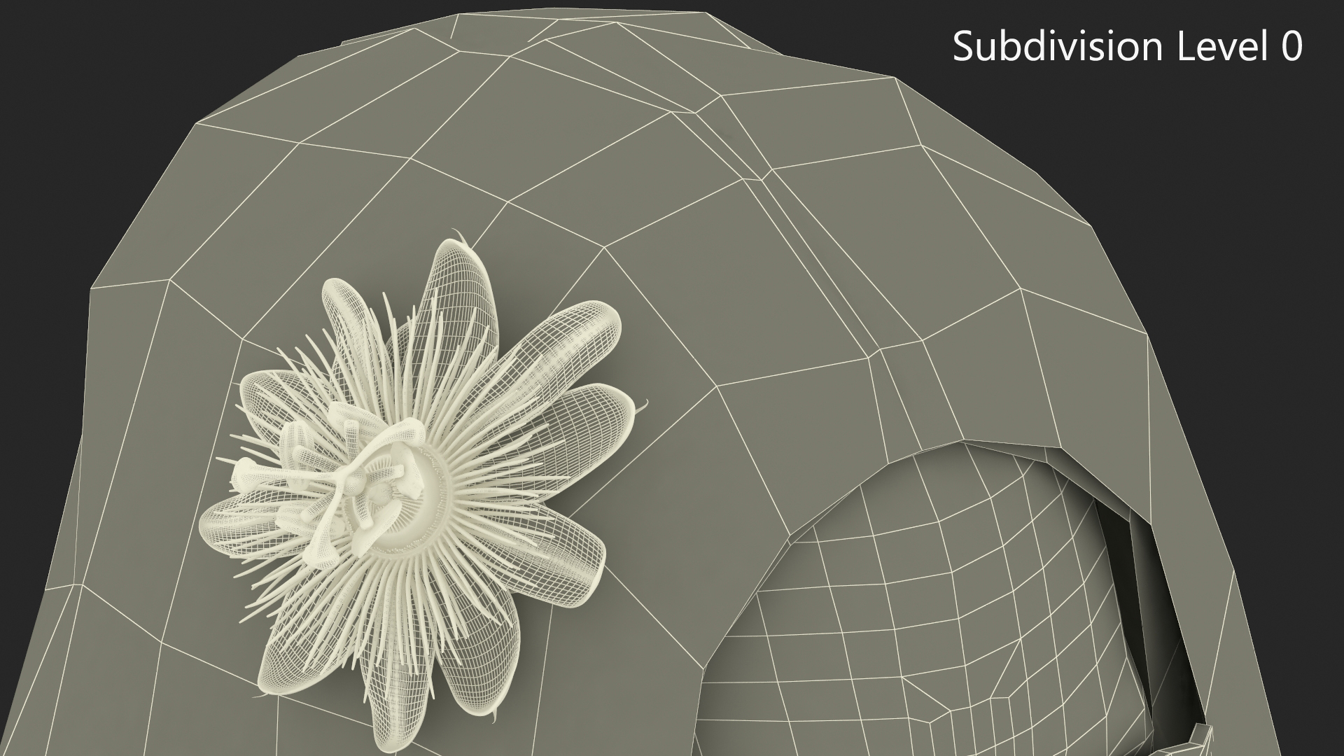 3D model Fashionable Female with Sunglasses and Flower Accessory
