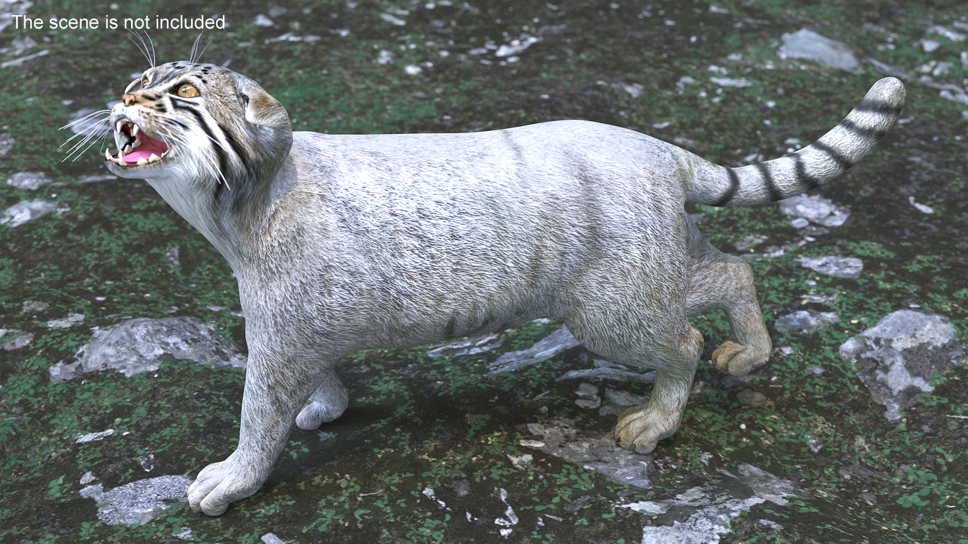Pallas Cat Rigged 3D