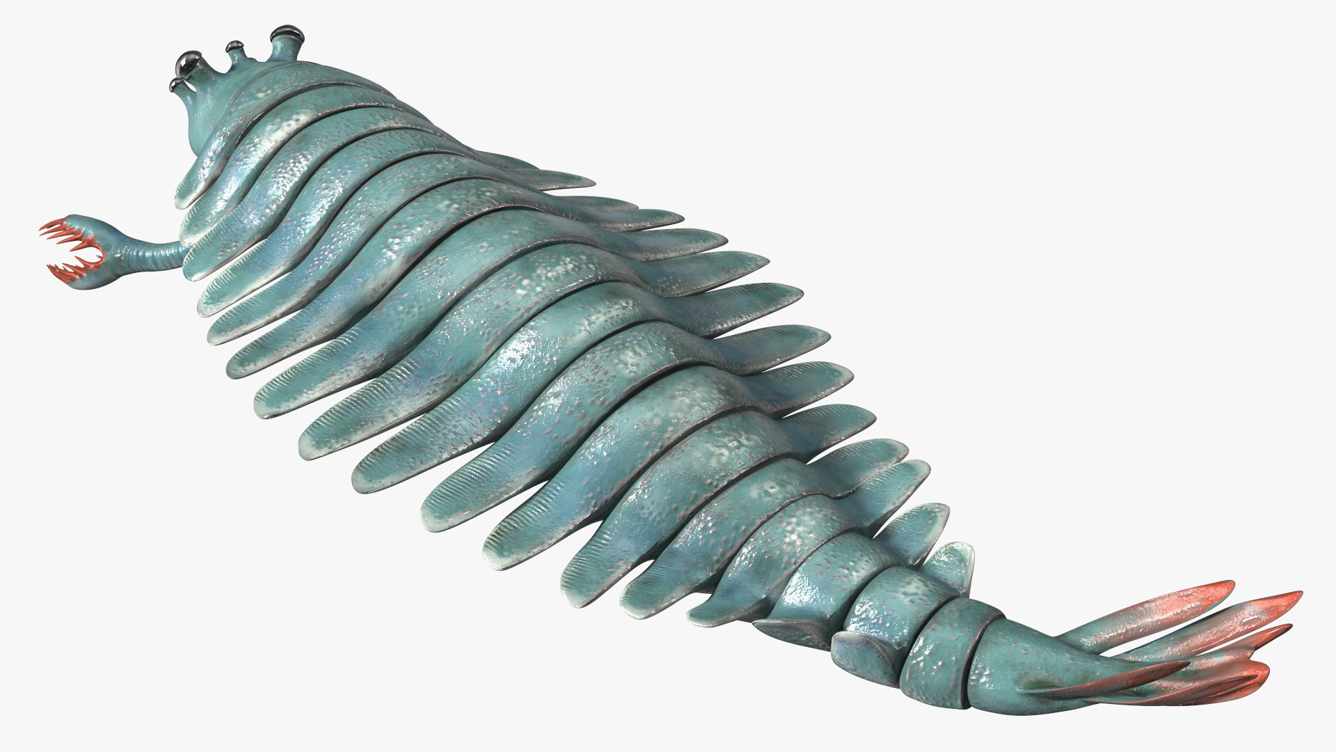 3D Green Opabinia Swimming model