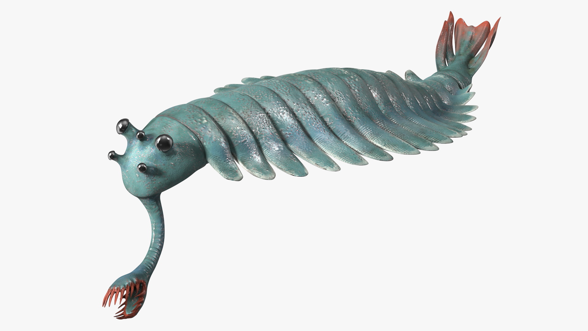 3D Green Opabinia Swimming model