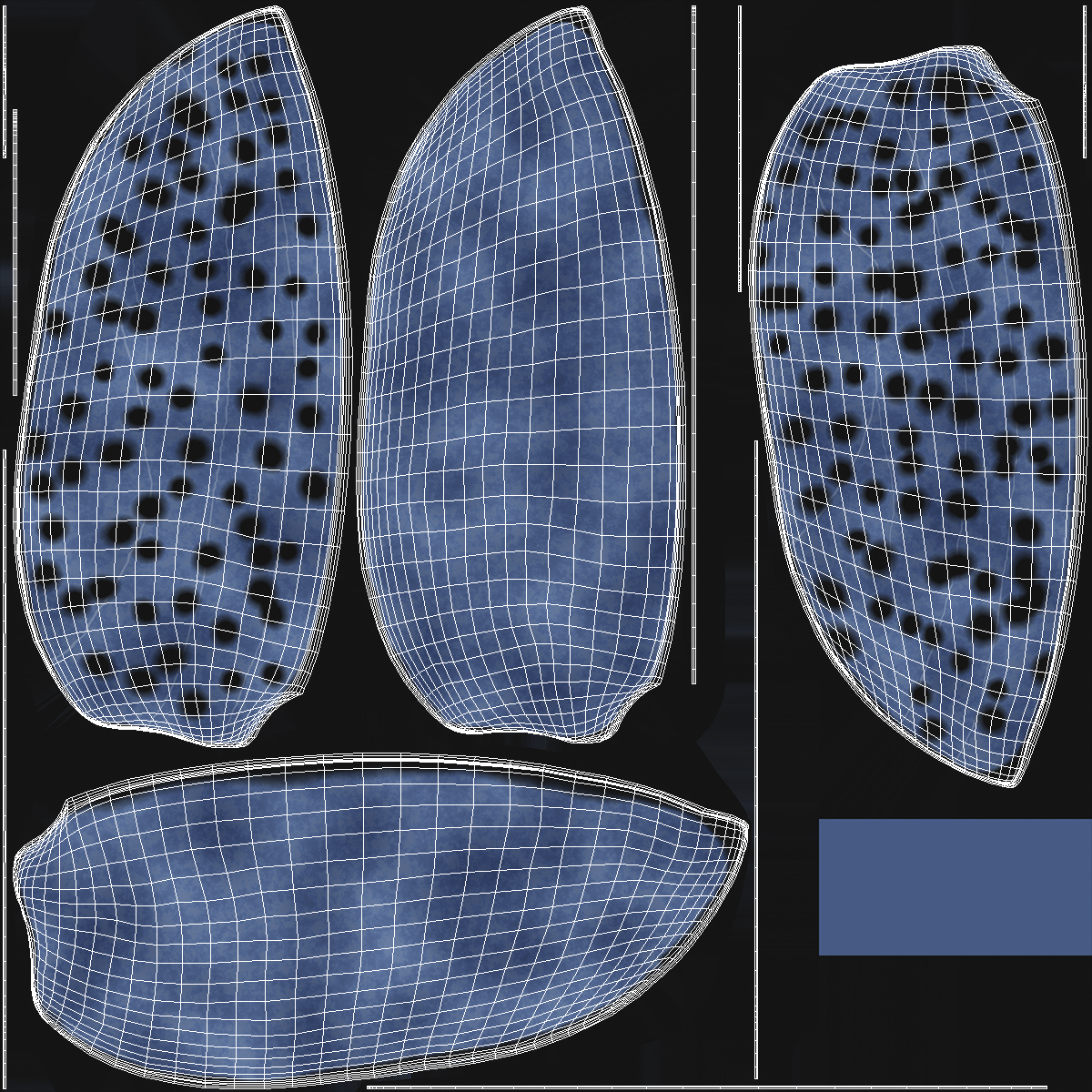 3D Blue Fungus Beetle model