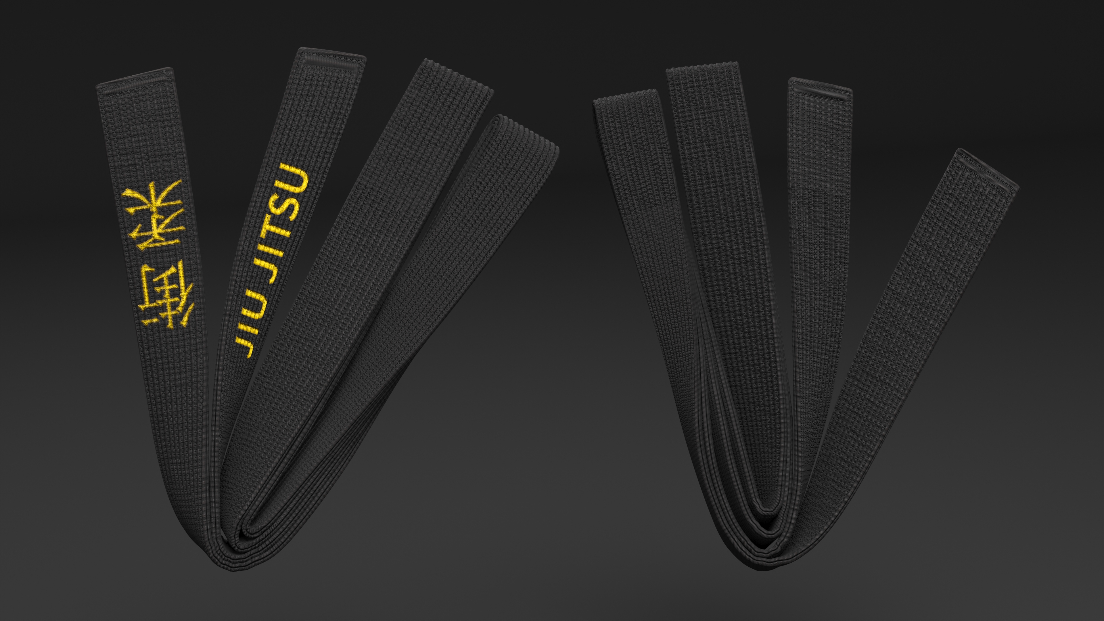 Jiu Jitsu Black Obi Belt 3D model