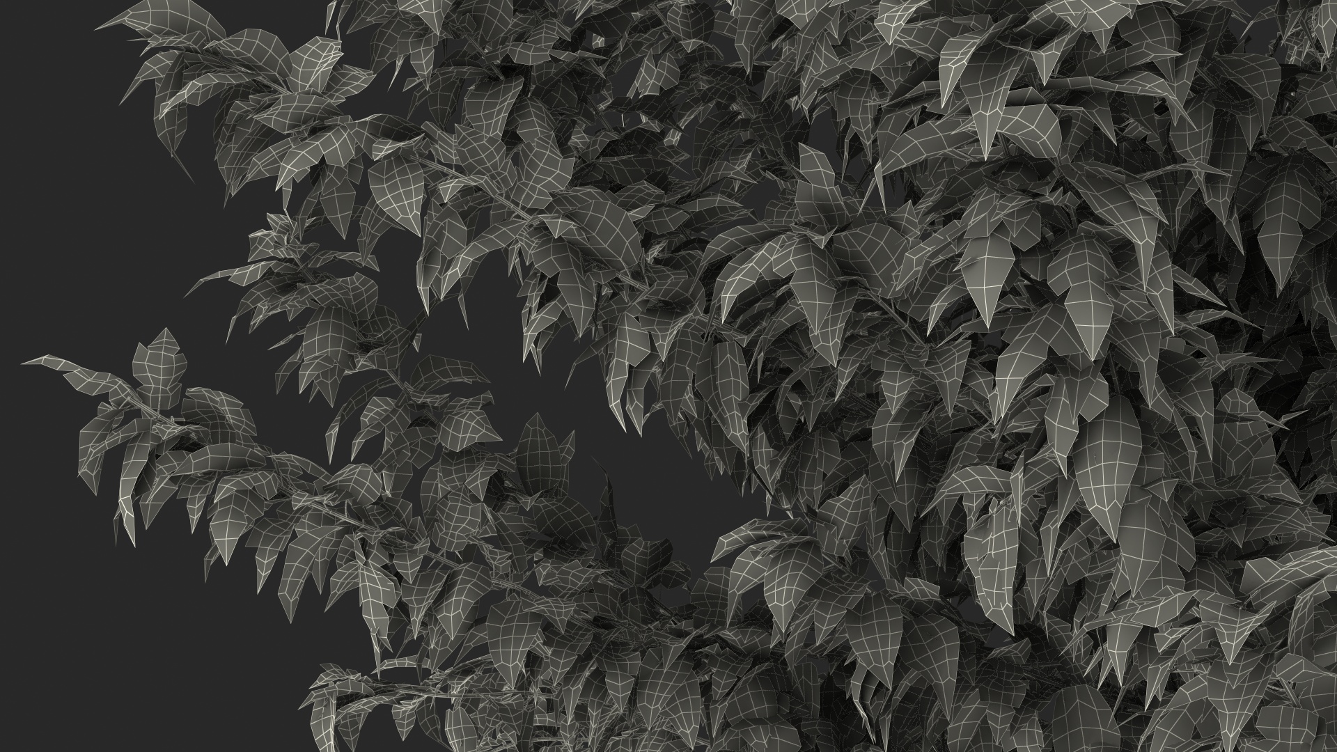 3D Fruitless Mulberry Tree model