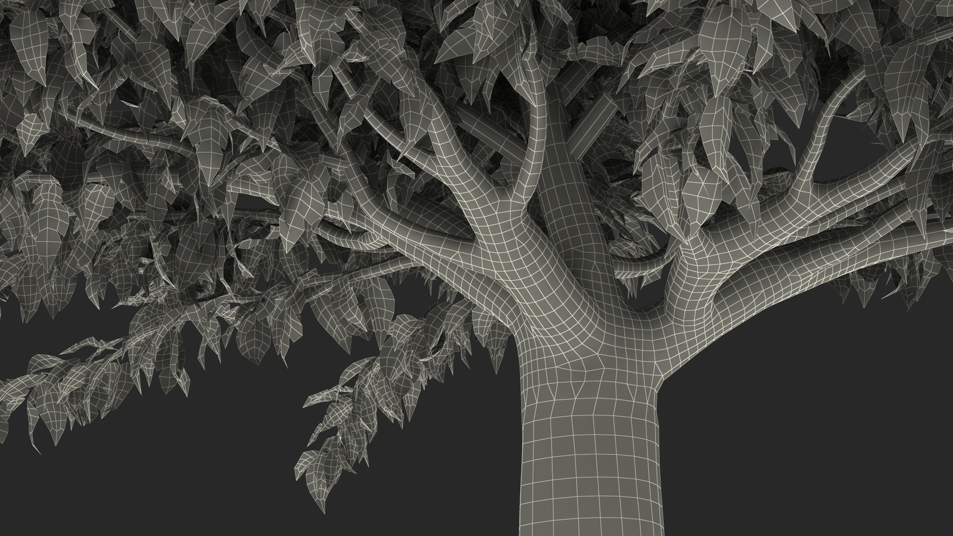 3D Fruitless Mulberry Tree model