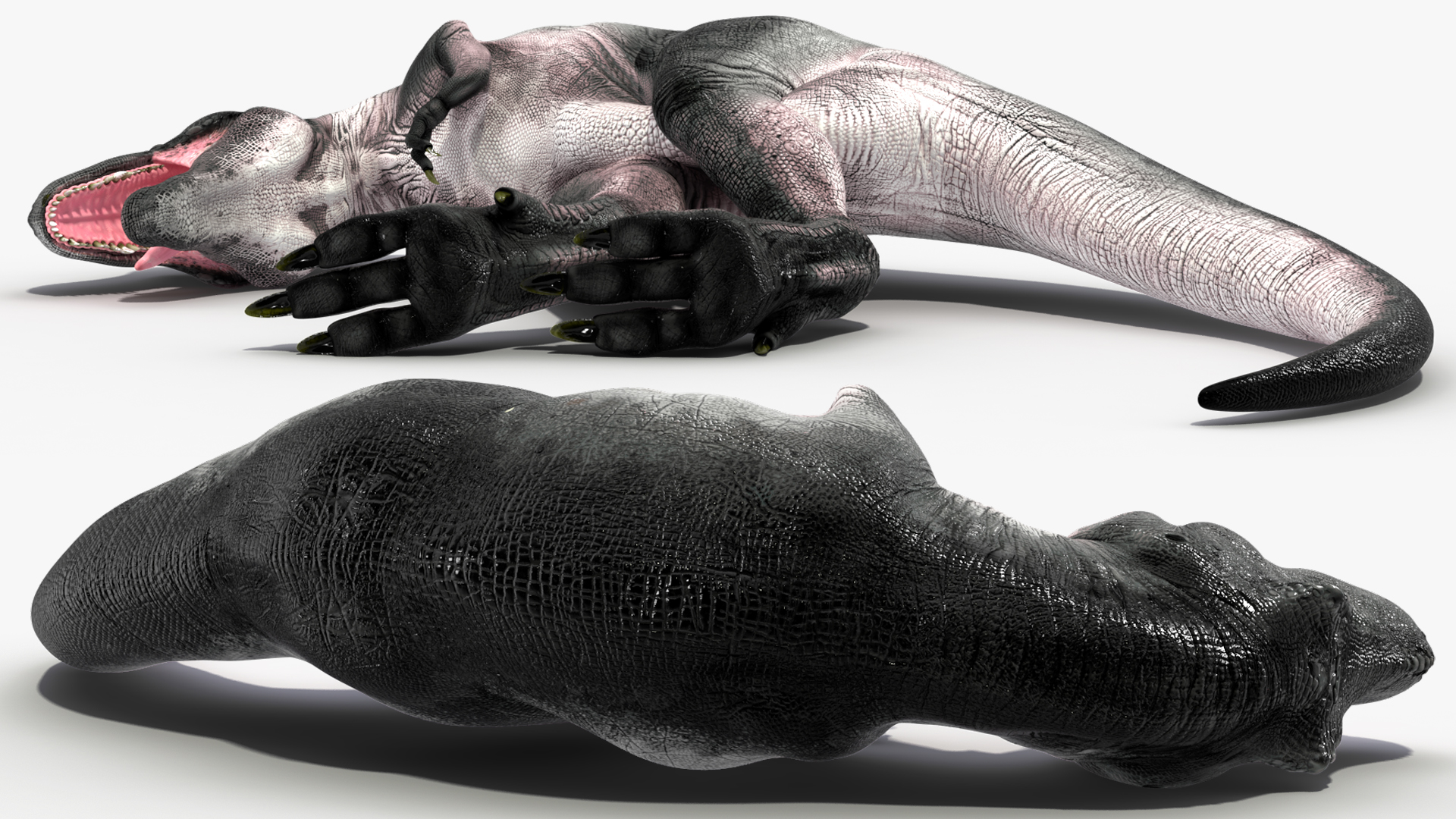 3D T Rex Sleep Pose