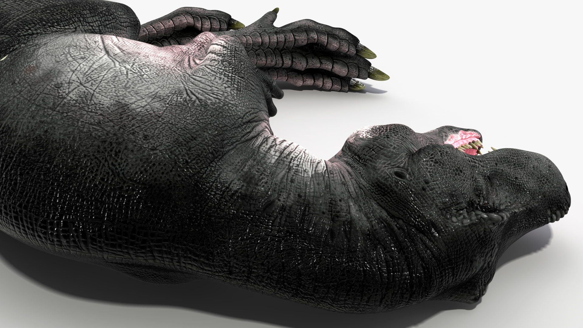 3D T Rex Sleep Pose
