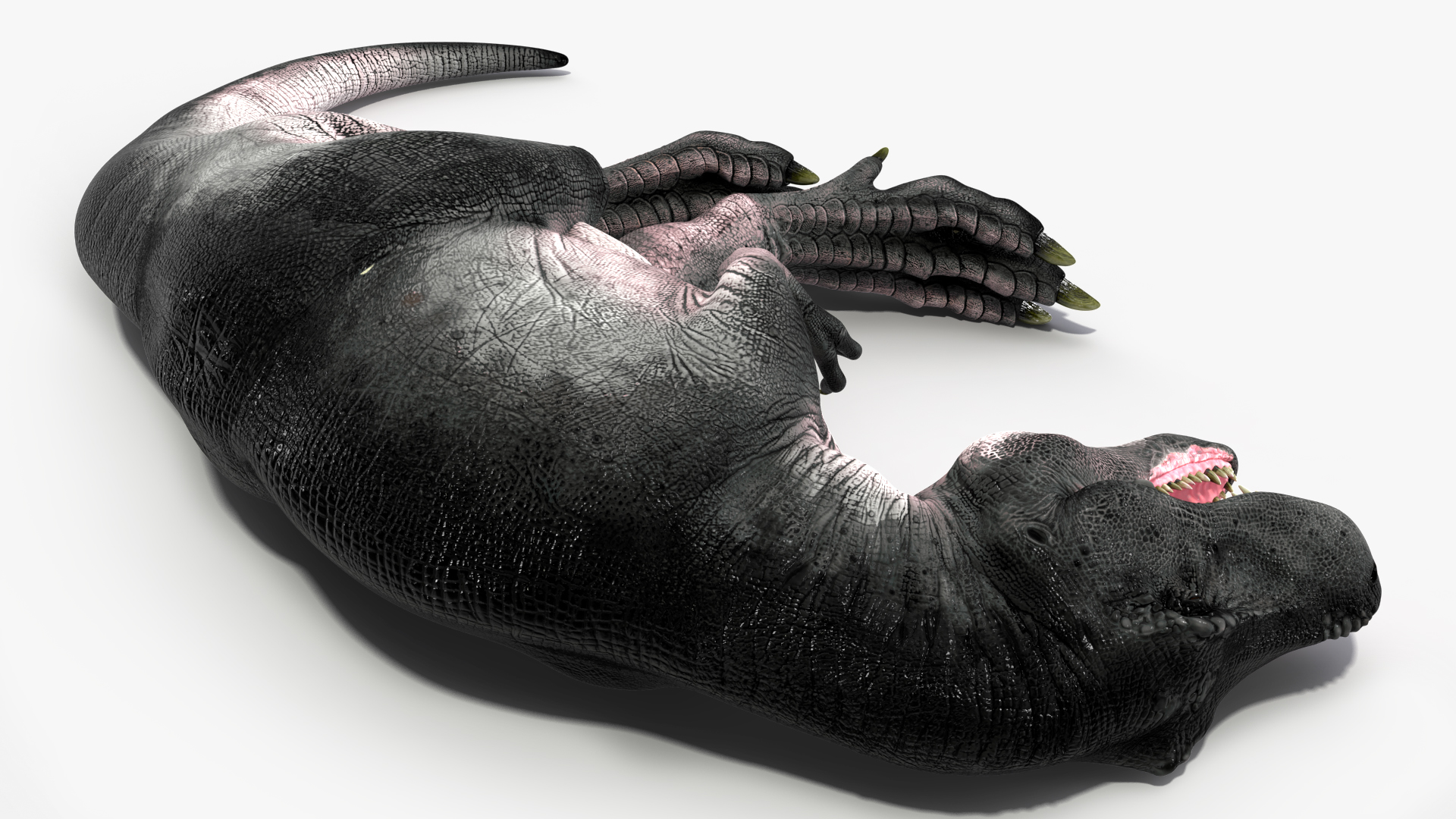 3D T Rex Sleep Pose