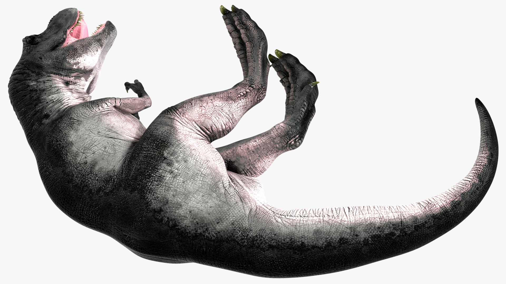 3D T Rex Sleep Pose