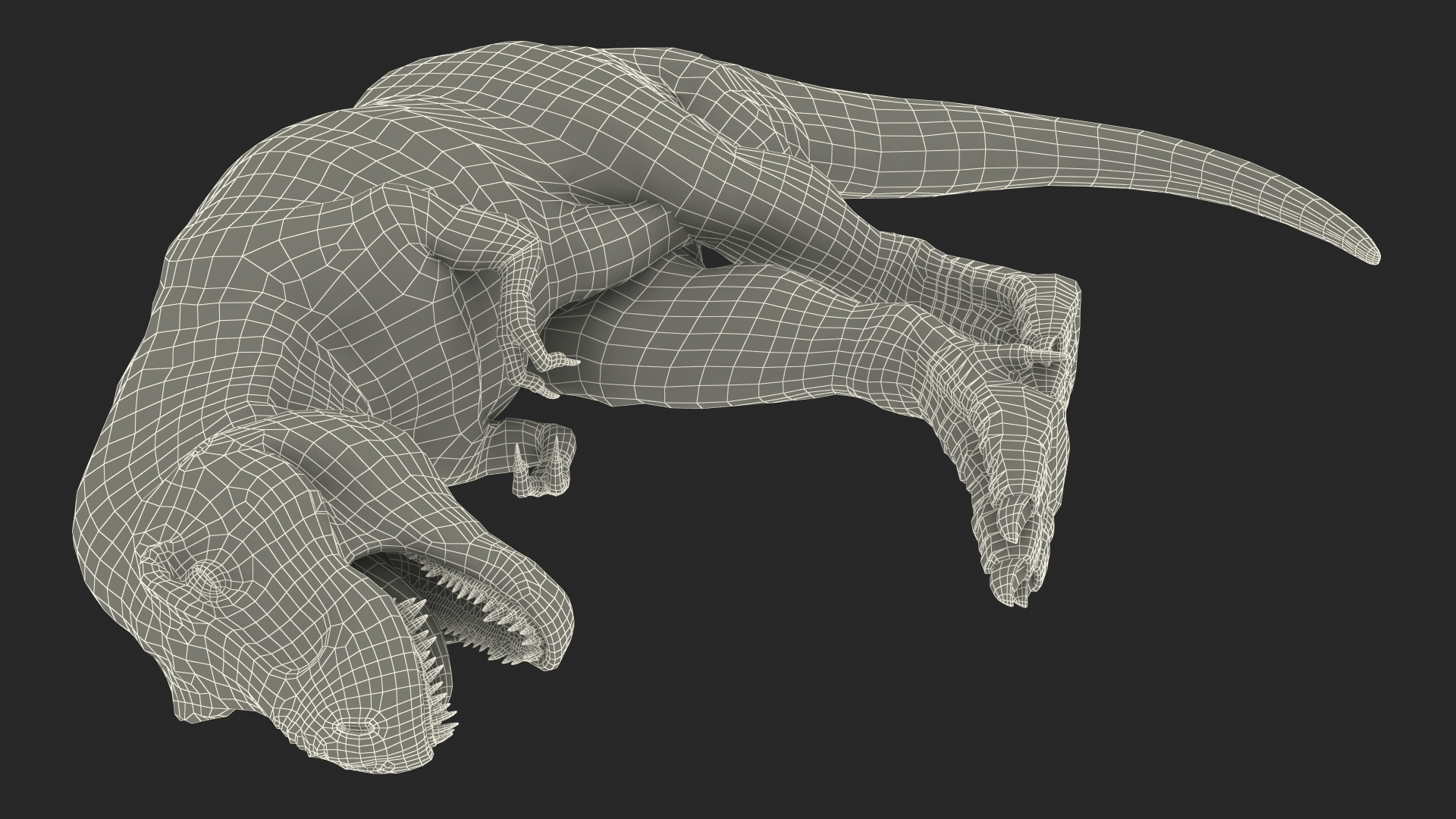 3D T Rex Sleep Pose