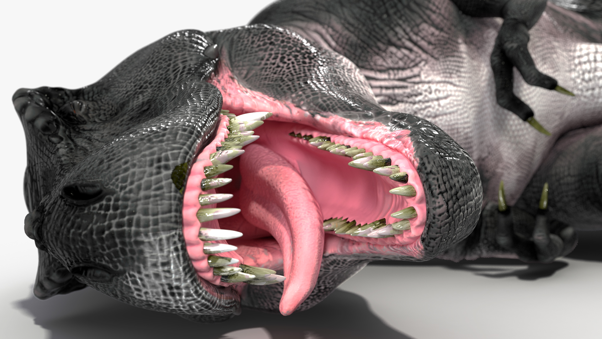 3D T Rex Sleep Pose