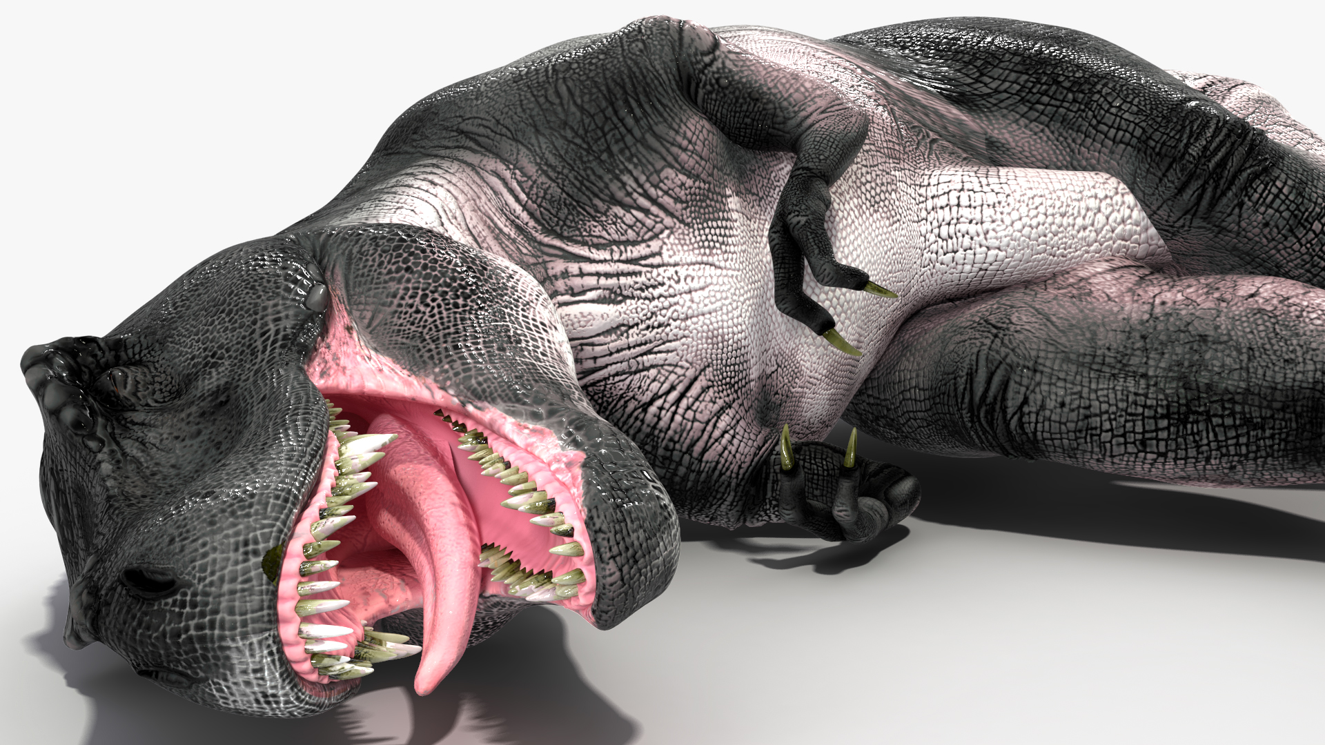 3D T Rex Sleep Pose