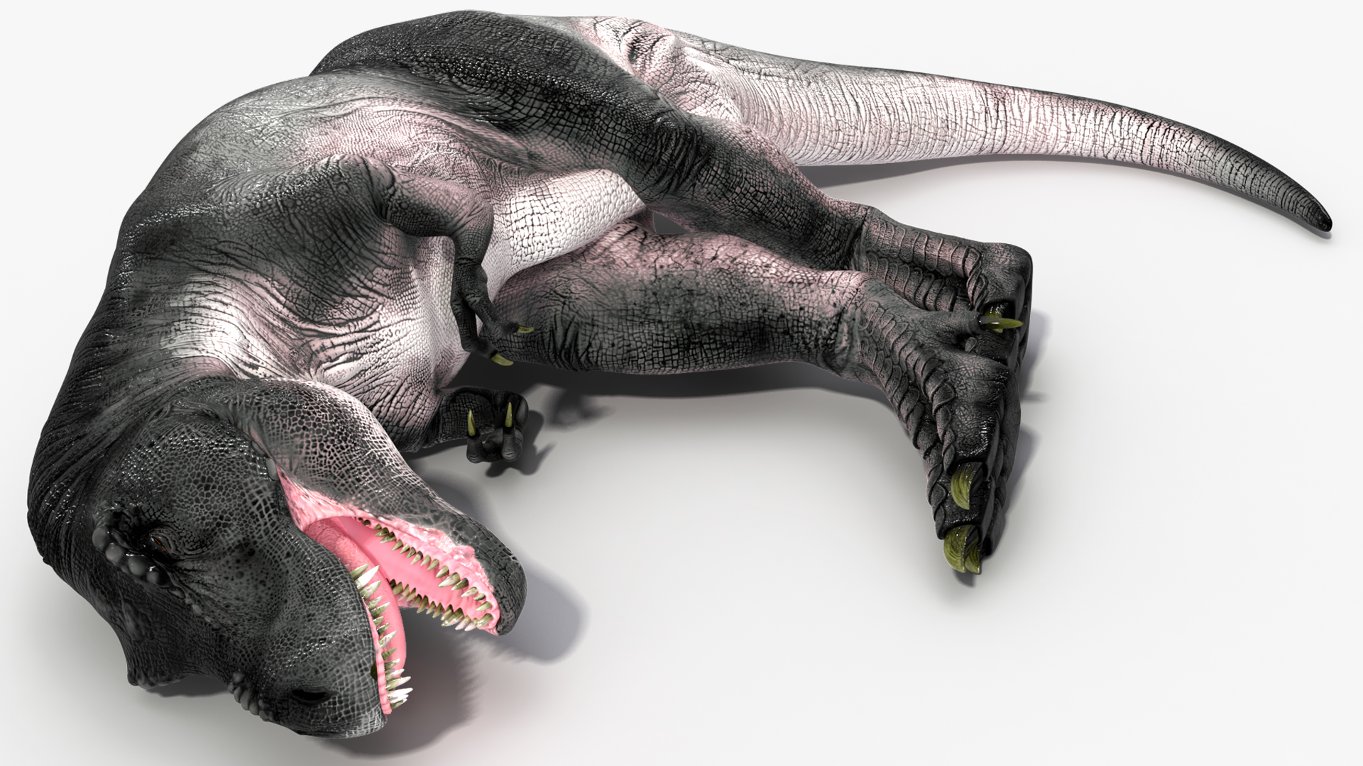 3D T Rex Sleep Pose