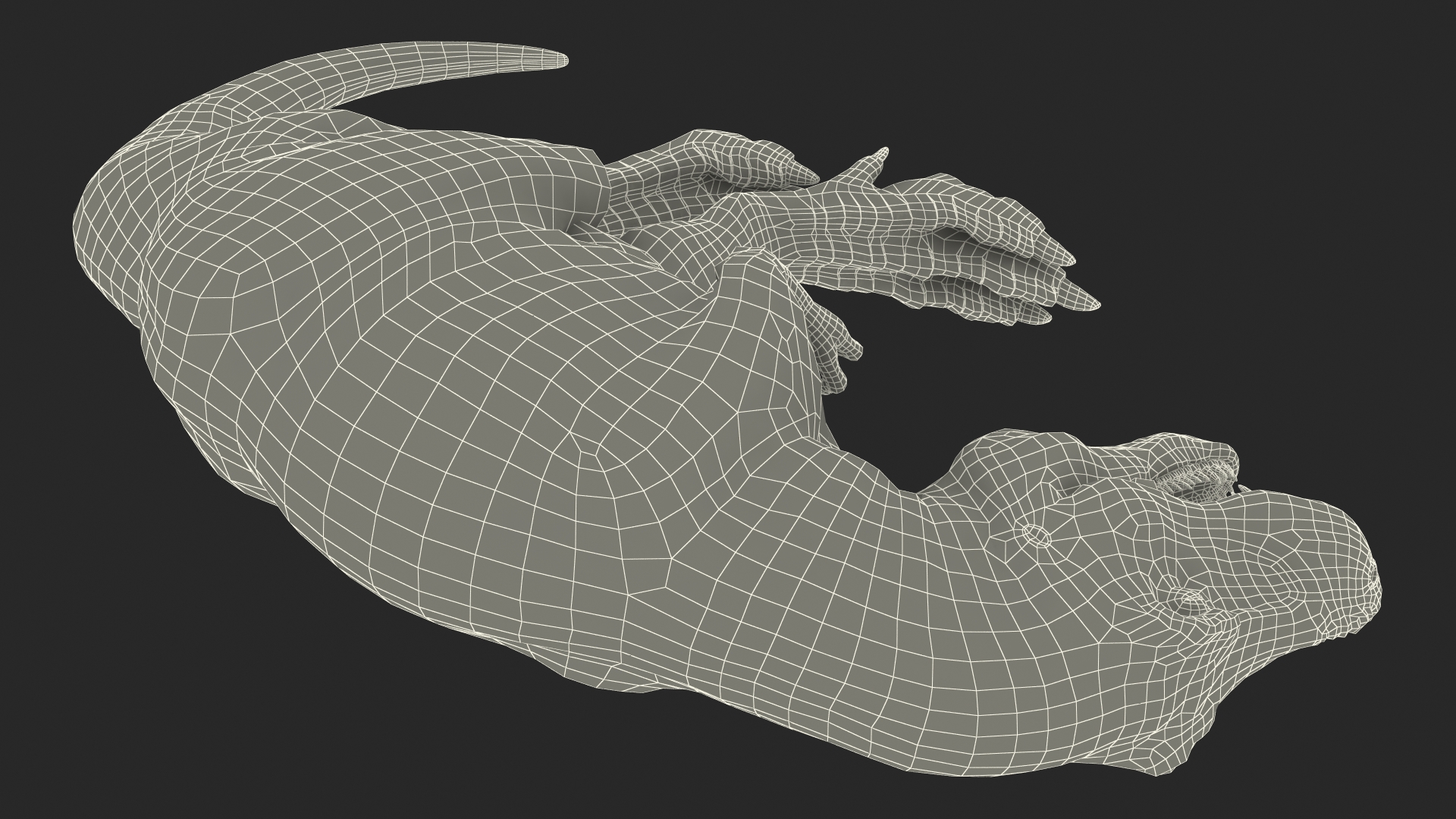 3D T Rex Sleep Pose