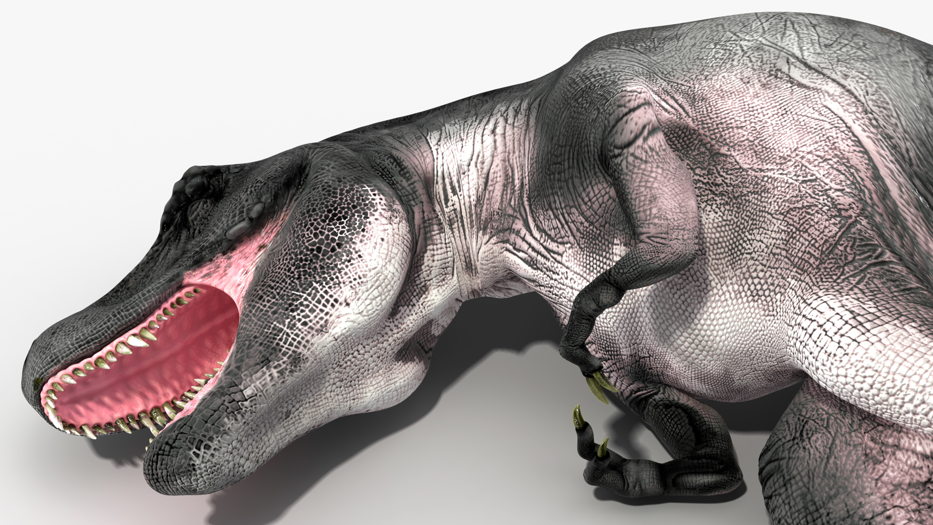 3D T Rex Sleep Pose