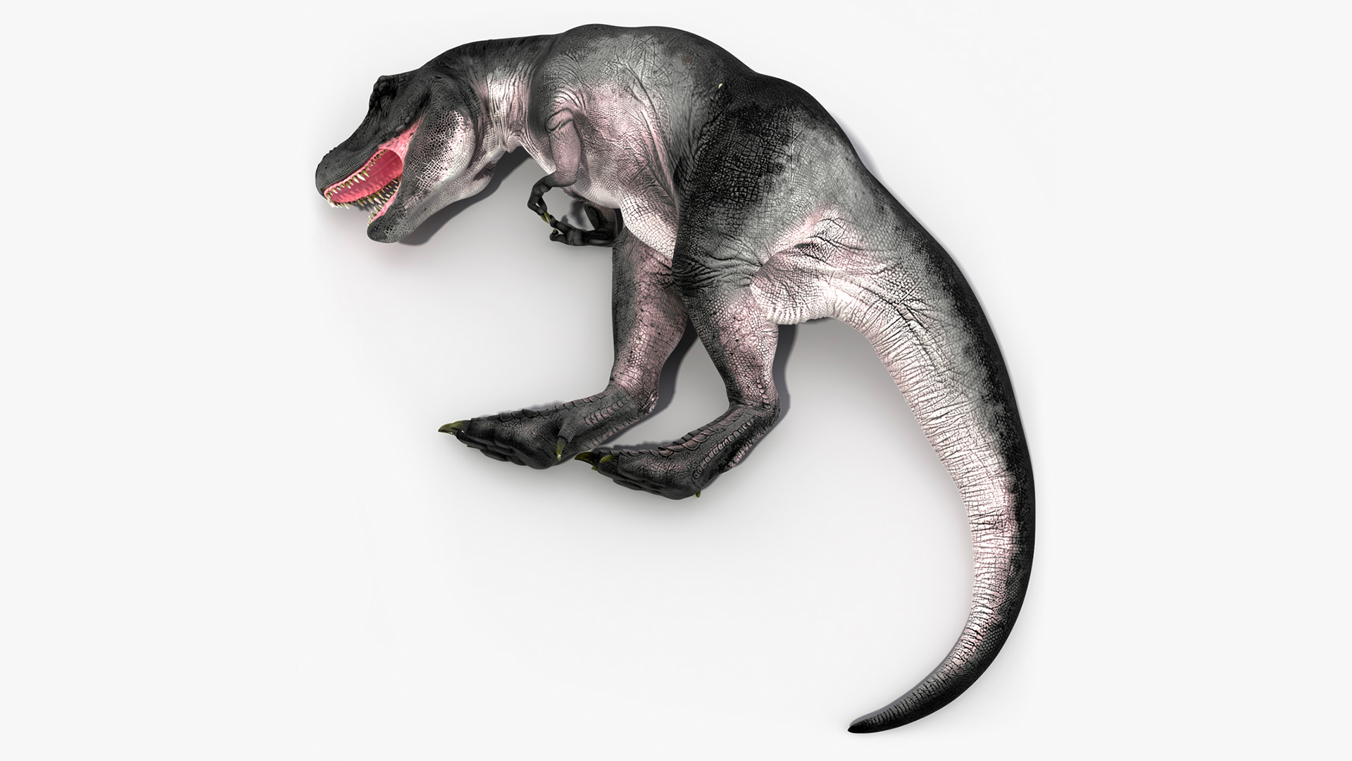 3D T Rex Sleep Pose