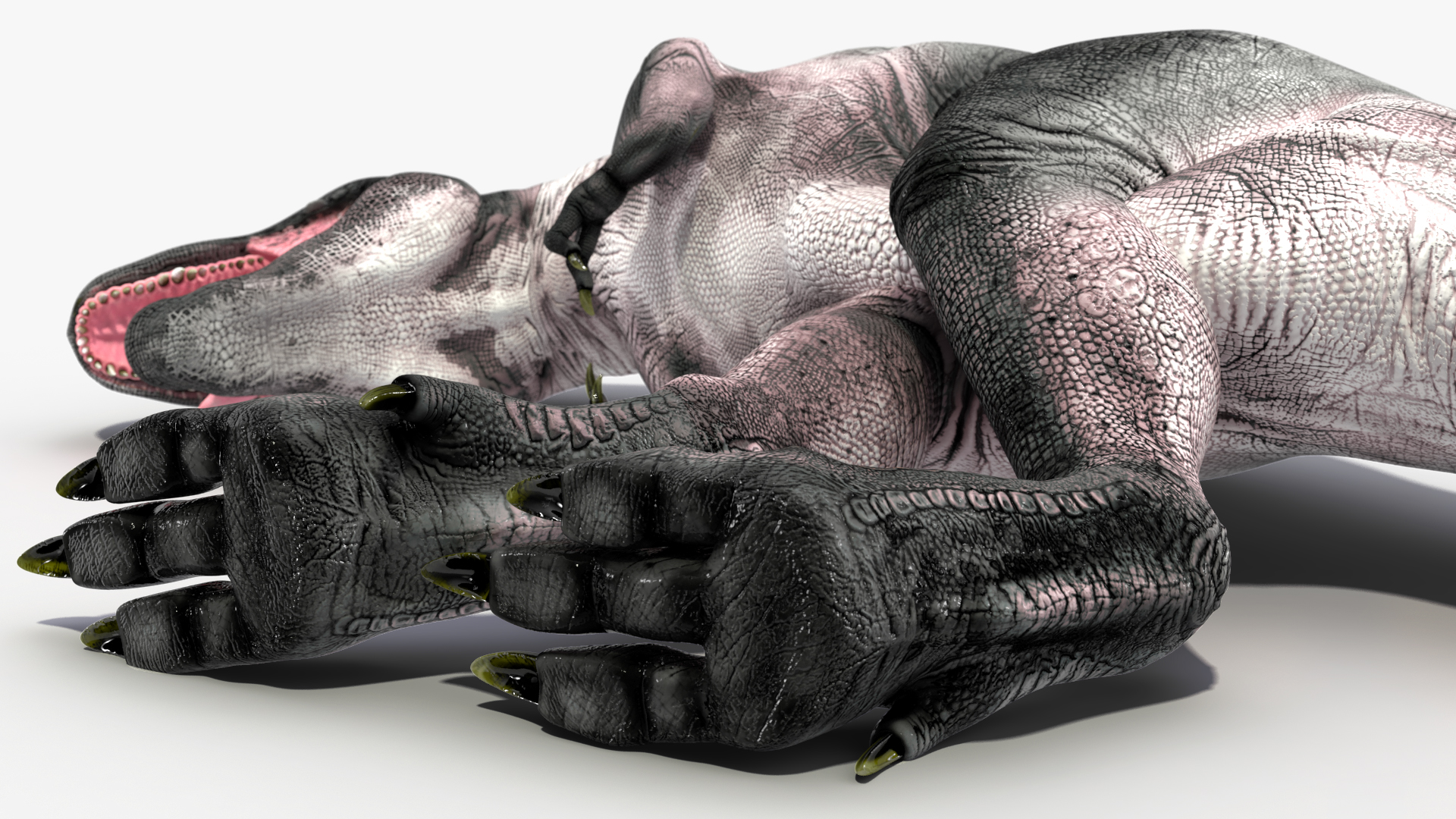 3D T Rex Sleep Pose
