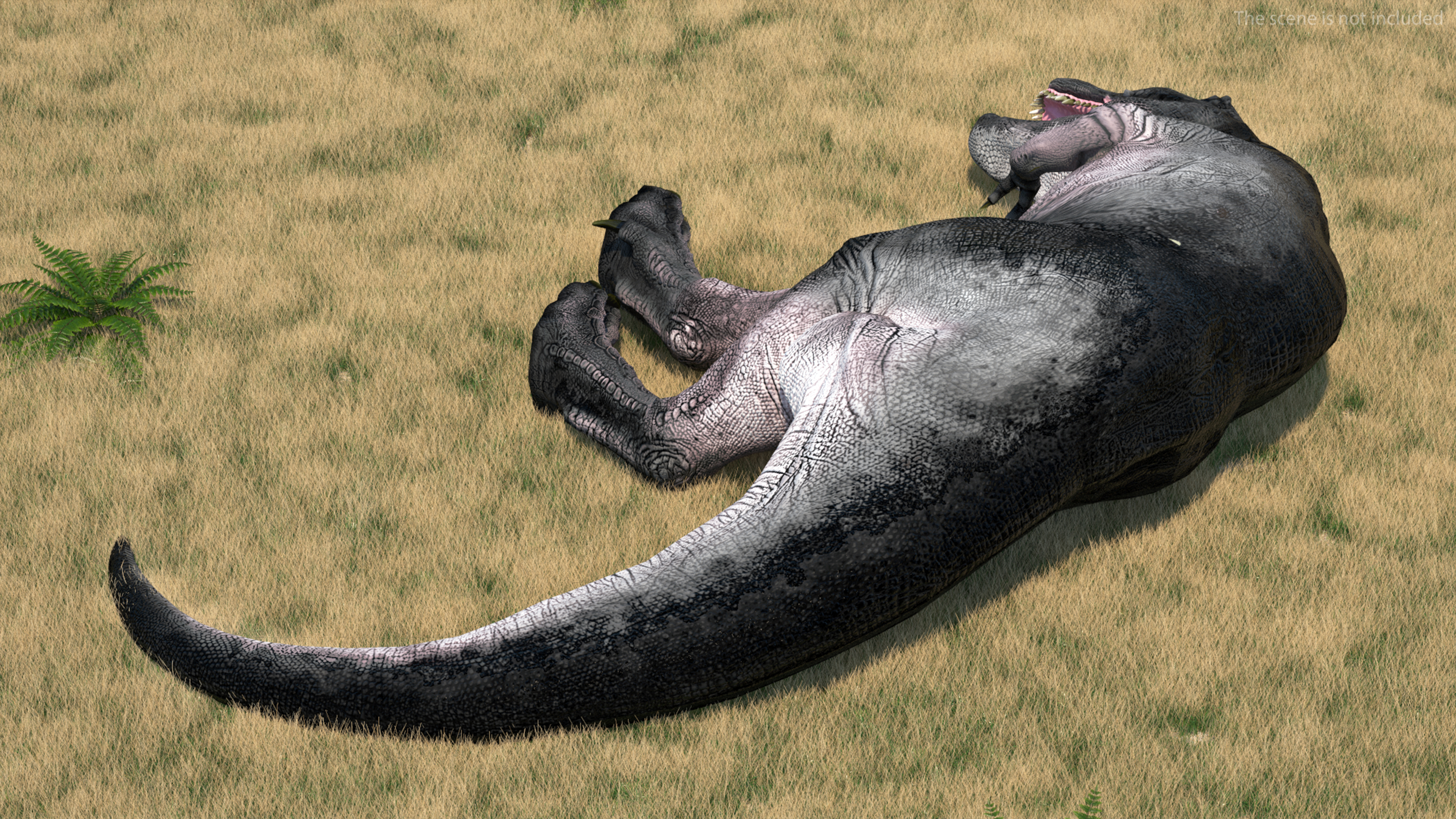 3D T Rex Sleep Pose