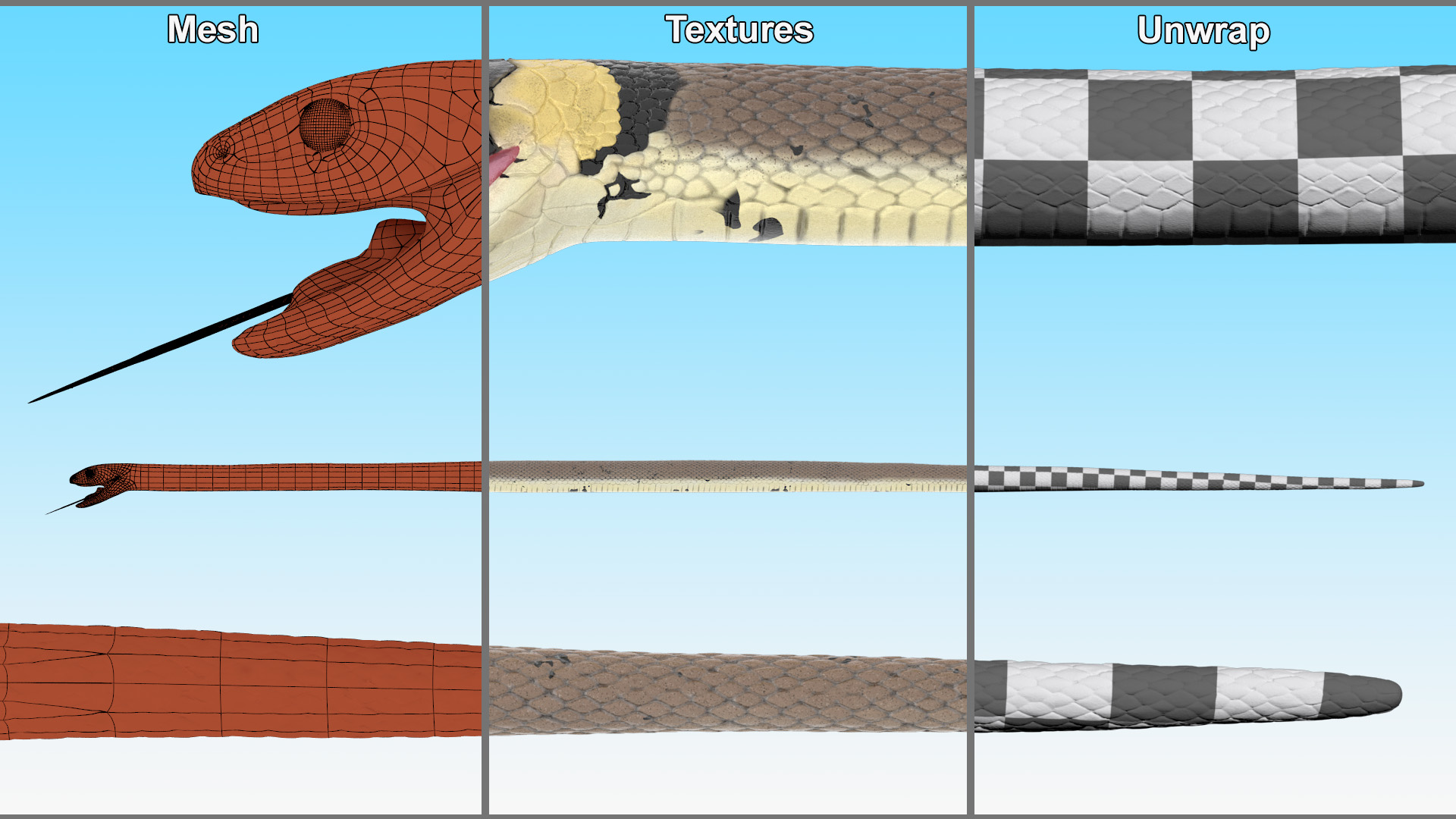 3D Grass Snake