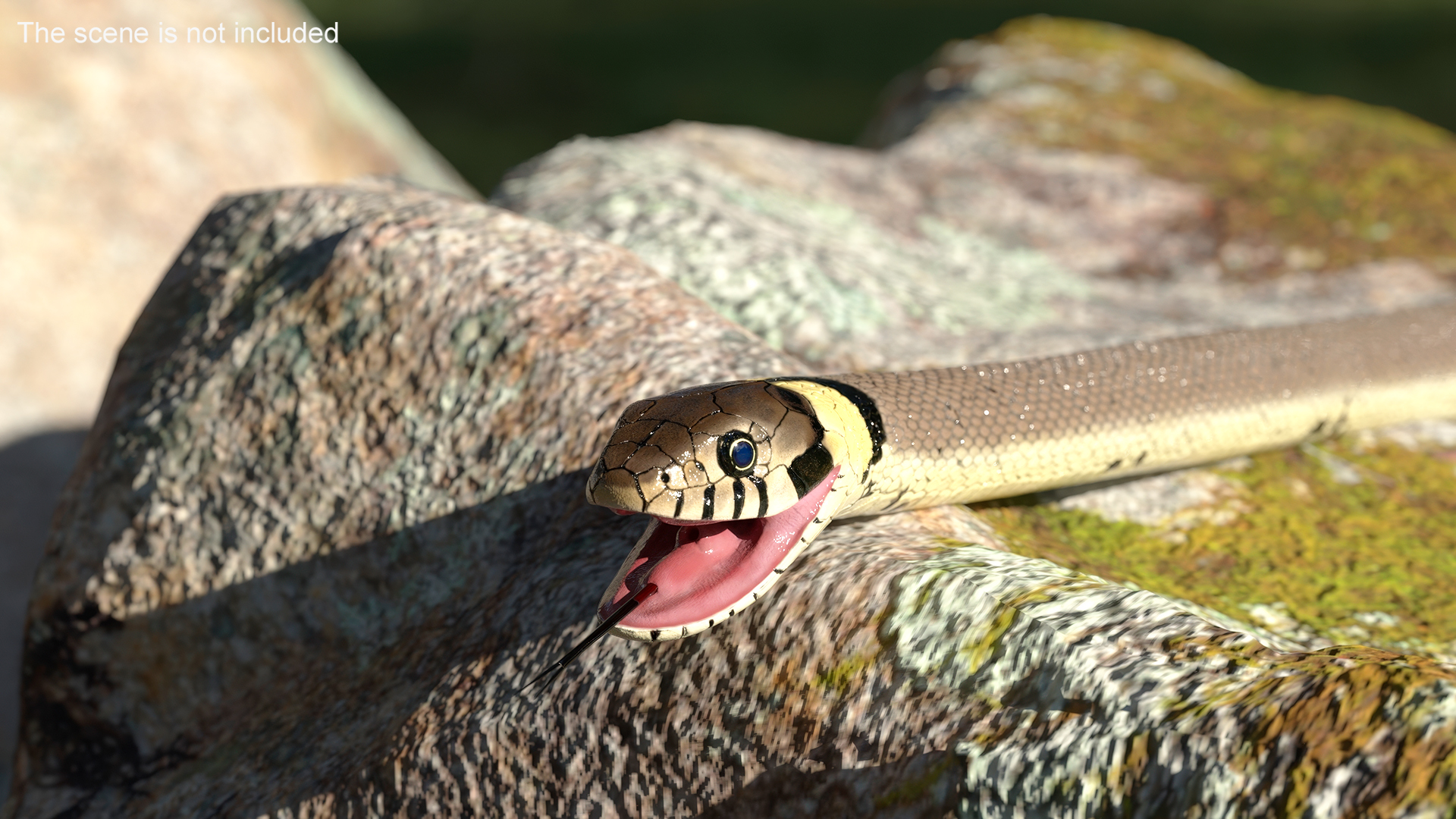 3D Grass Snake
