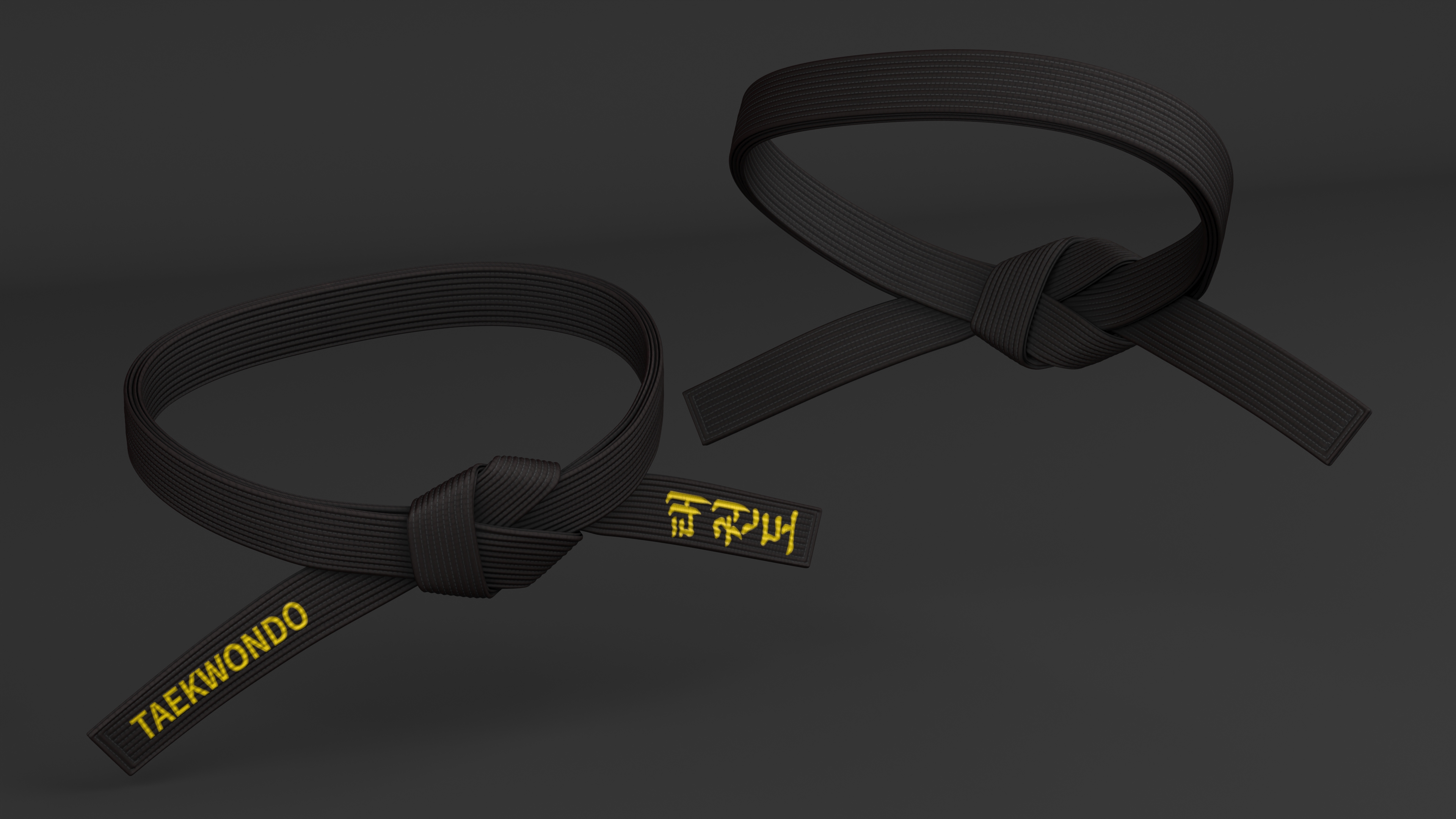 3D model Taekwondo Waist Black Obi Belt